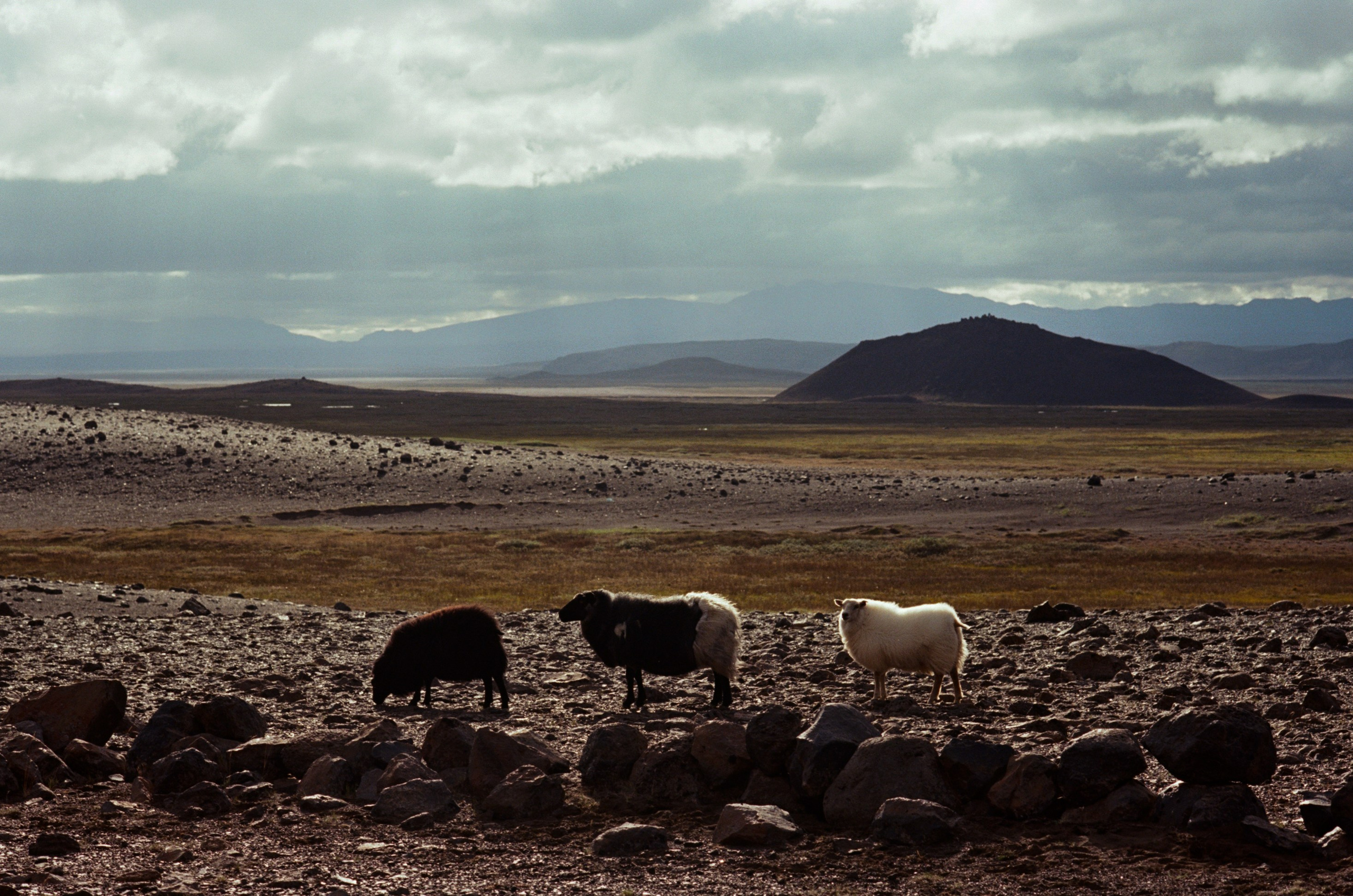 Human // iceland, f905. EVER EXPOSED