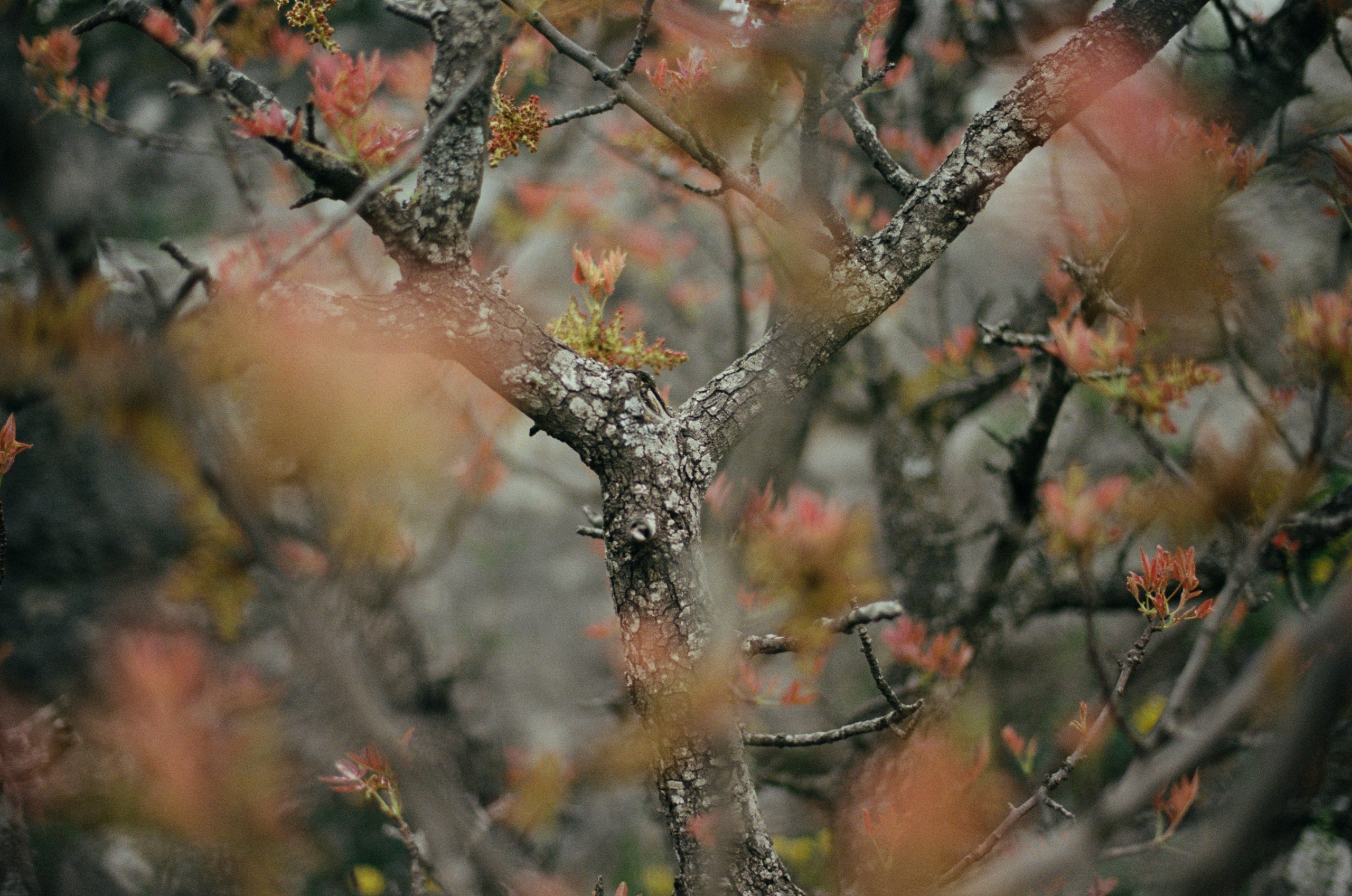 This time // ukraine, crimea VI. EVER EXPOSED