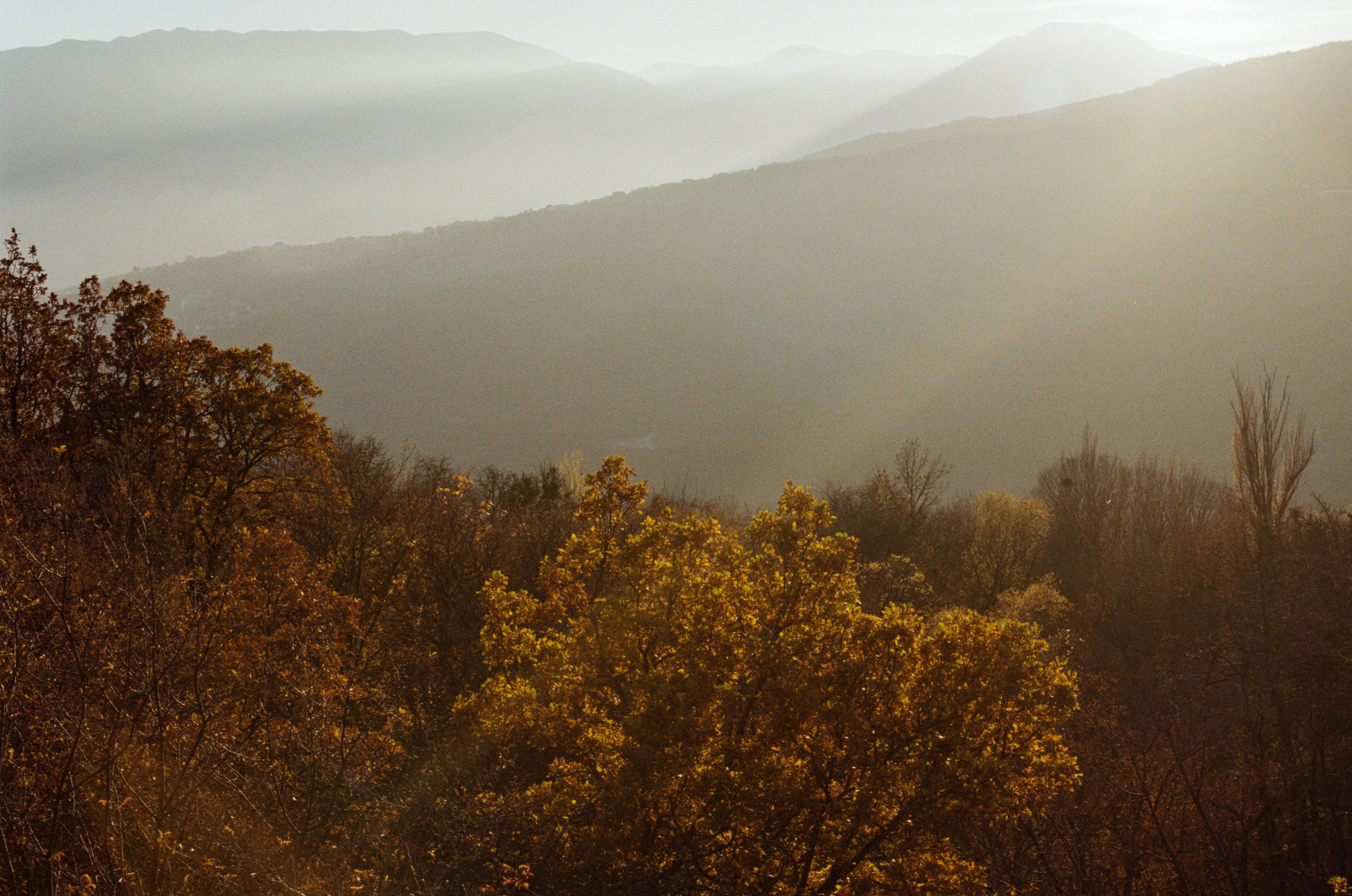 Wherever you will go // ukraine, crimea VI. EVER EXPOSED
