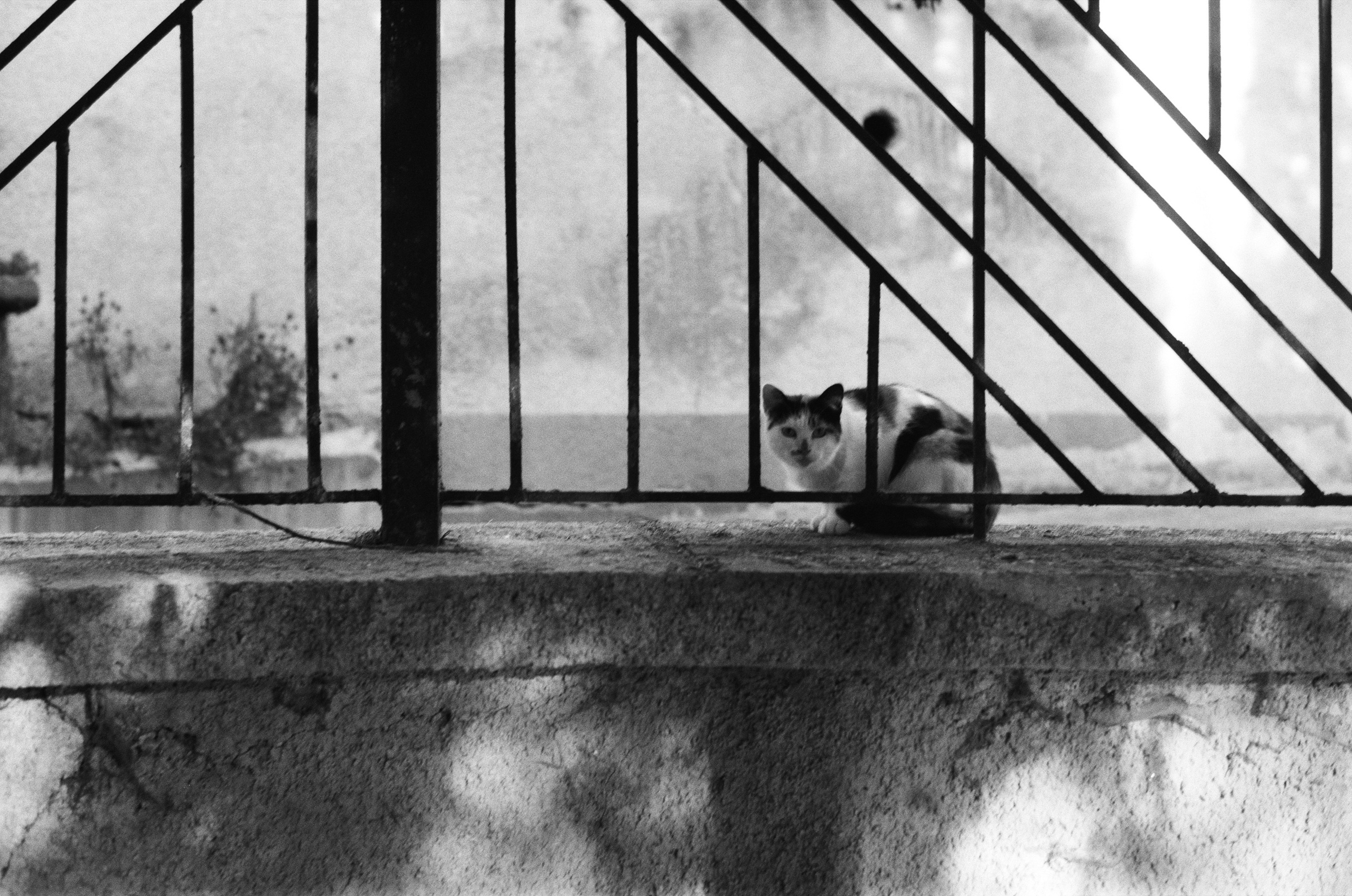 I o u // ukraine, crimea II. EVER EXPOSED