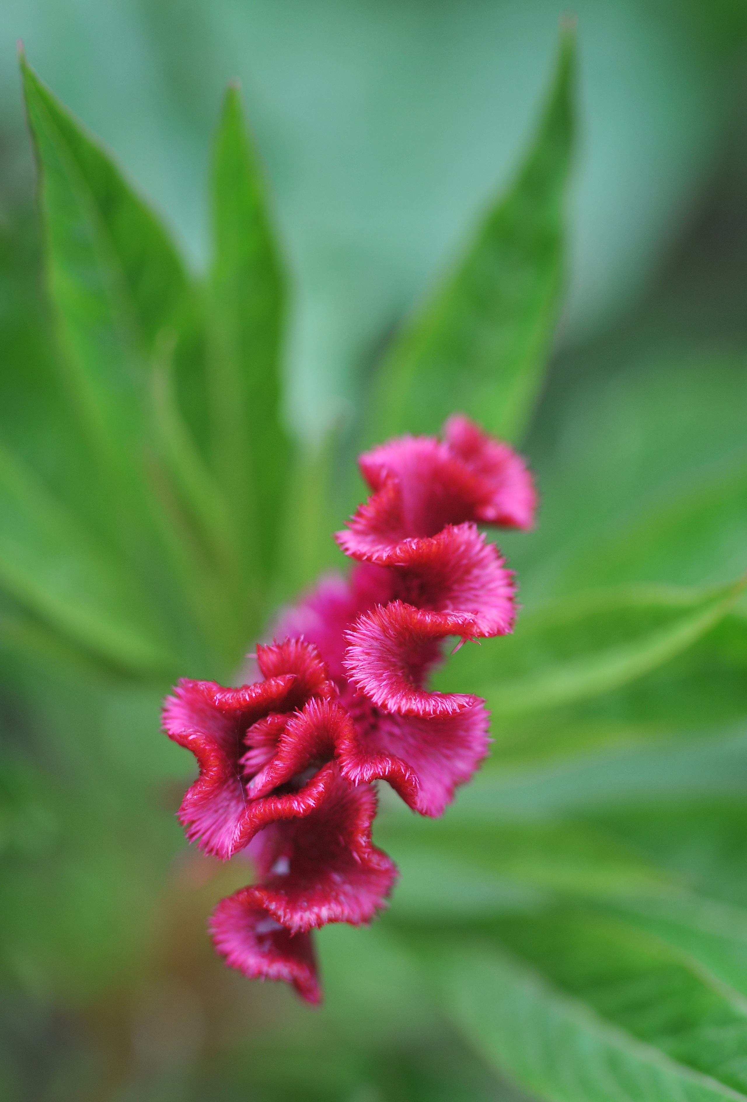 Предметная фотография. FotoGraf