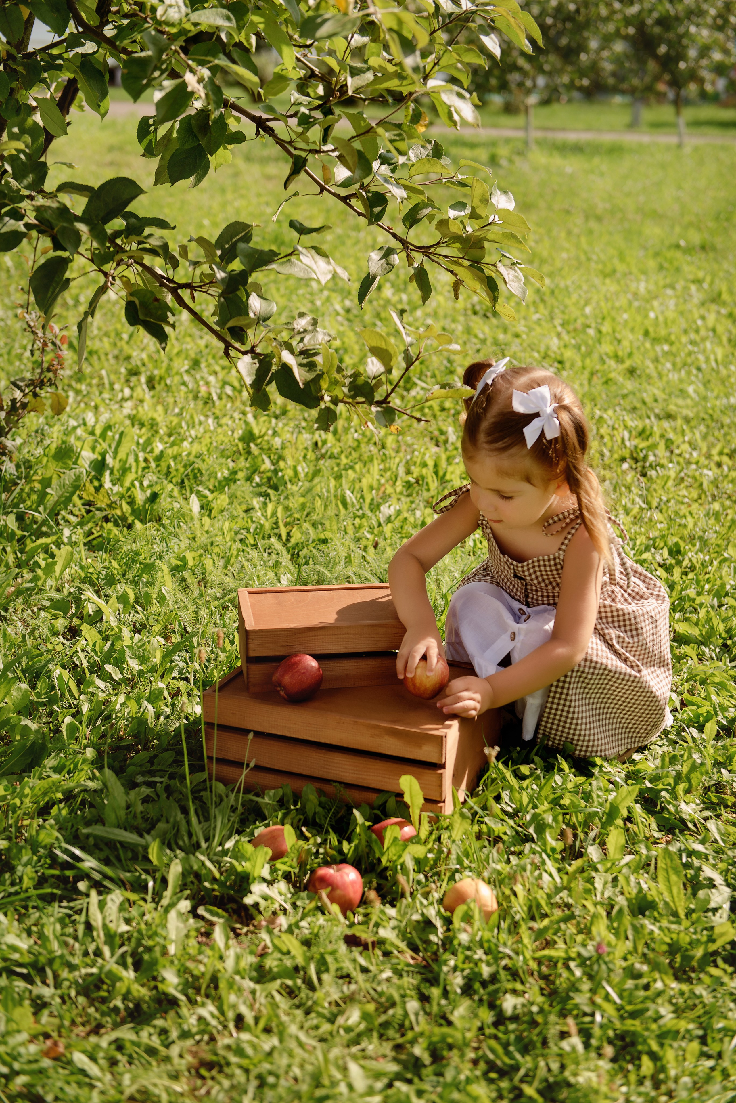 Яблоневый сад. Детский фотограф в Долгопрудном и Москве