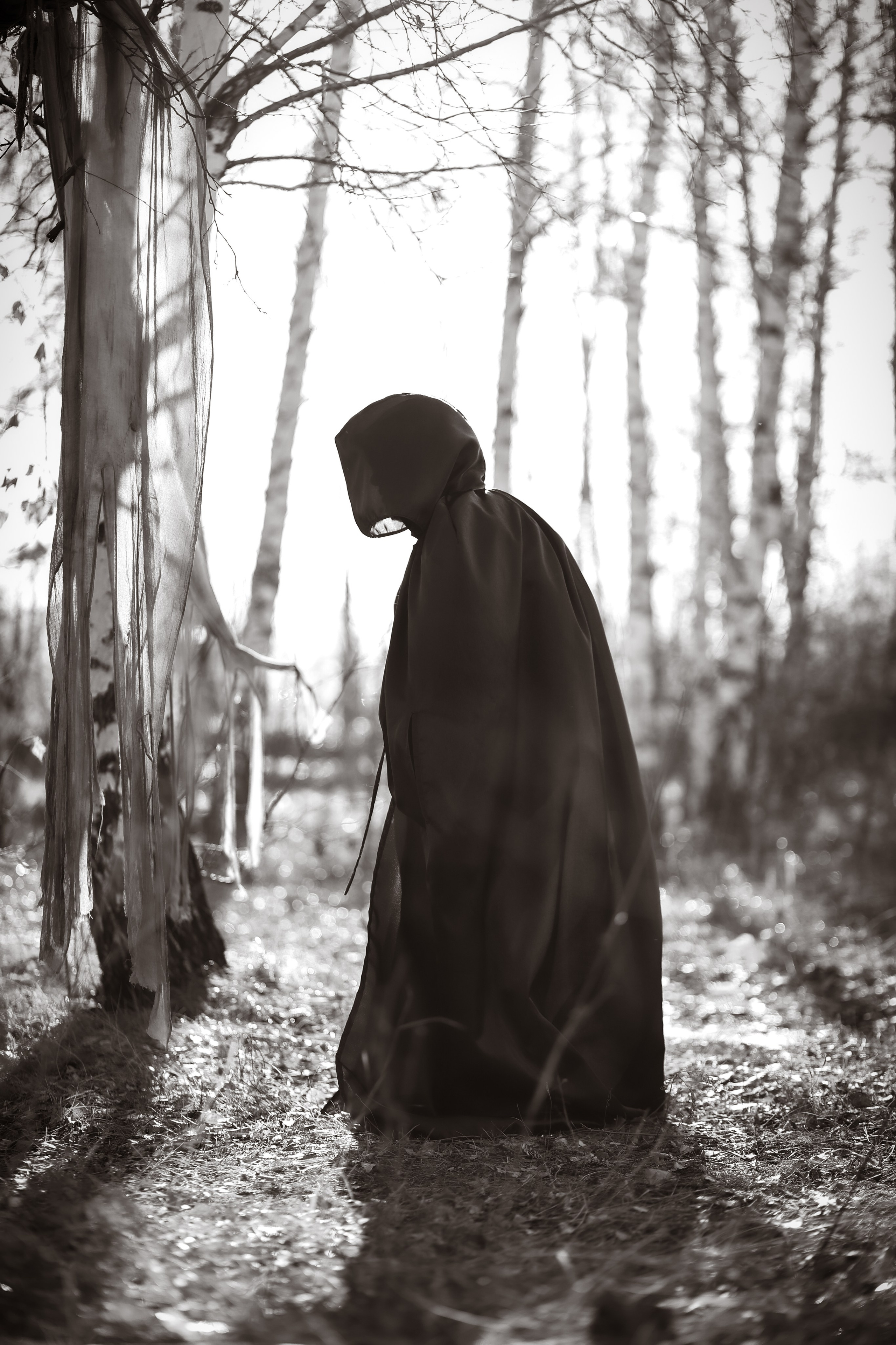 В ожидании Halloween. Art my Pho