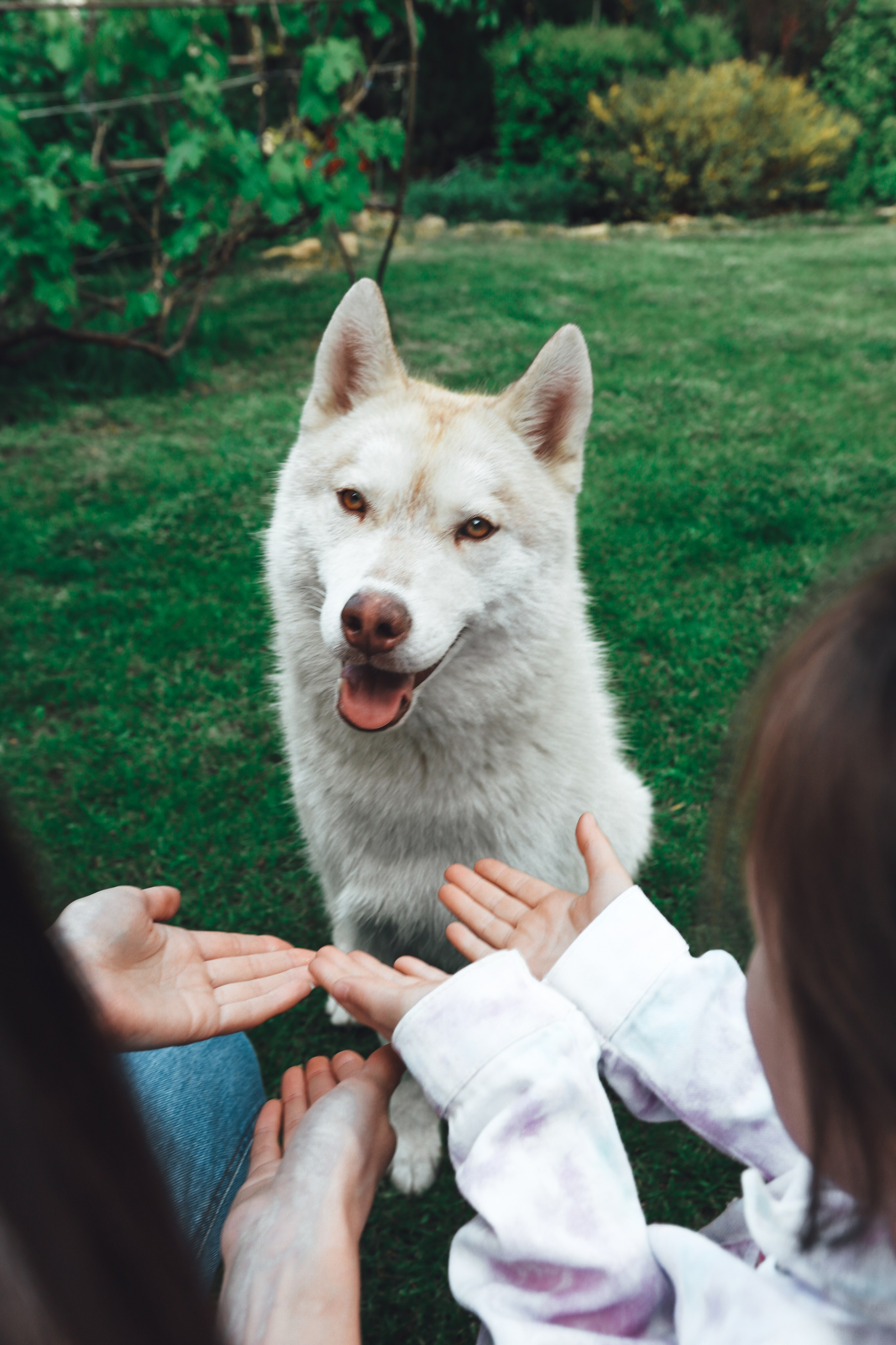 Фотопрогулки. Слава Лерина. Фотограф. Ростов-на-Дону