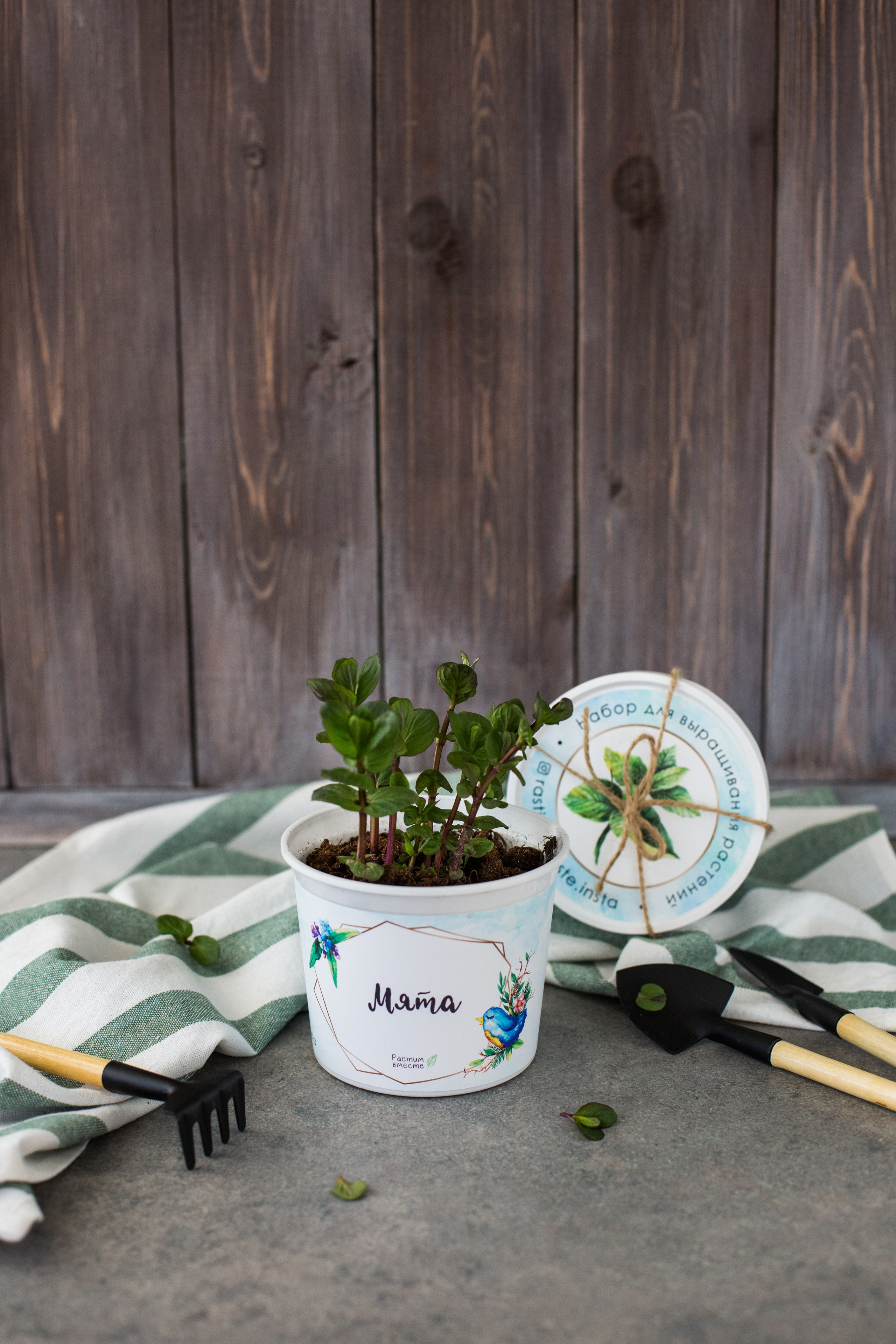 Растим вместе. Главная