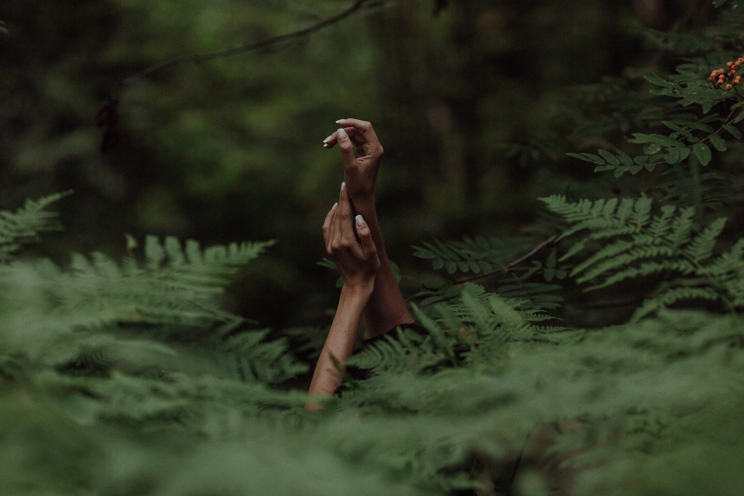 Женя. Семейный фотограф в Брянске Зурилина Екатерина