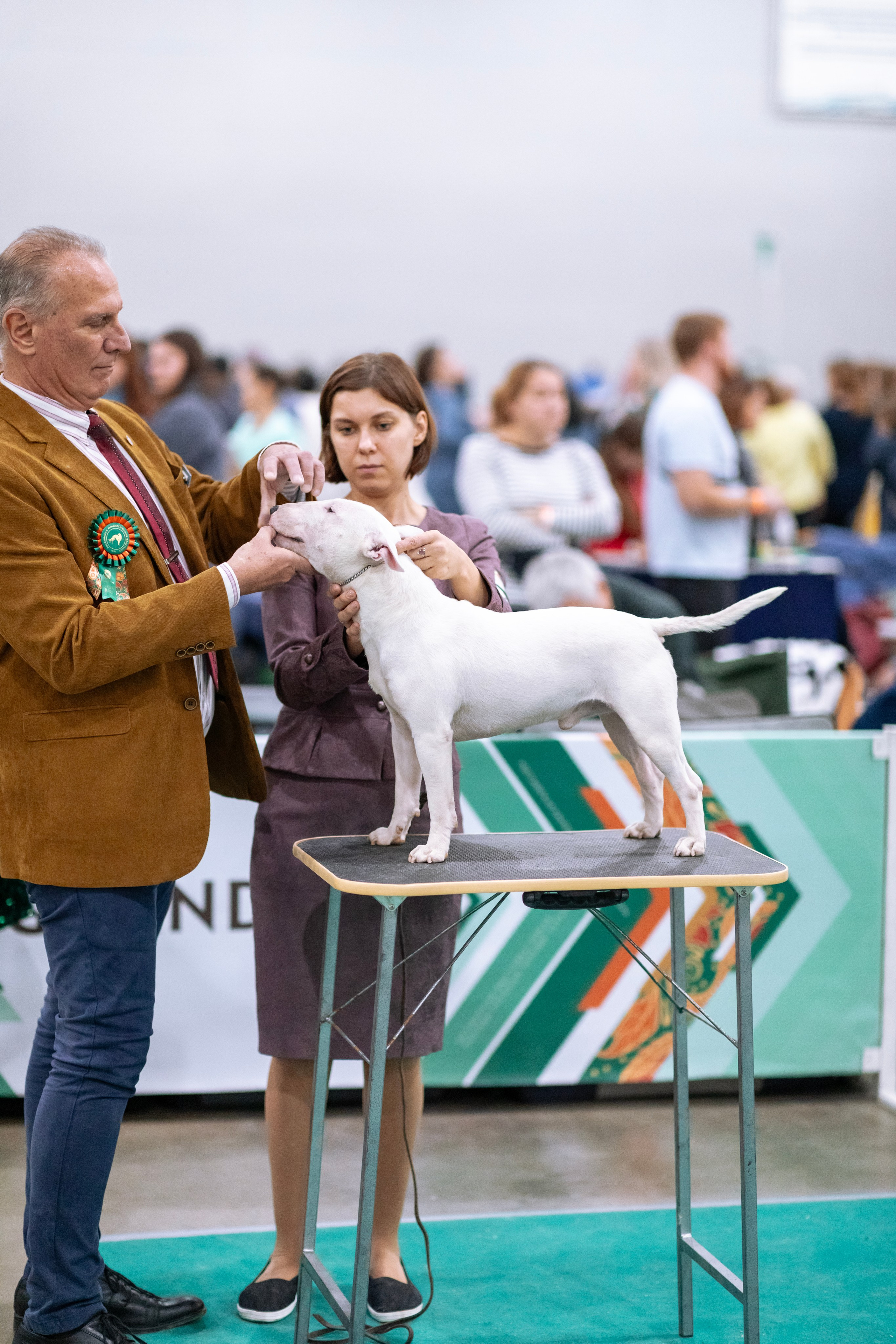 Евразия. Фотограф — анималист Татьяна Ли