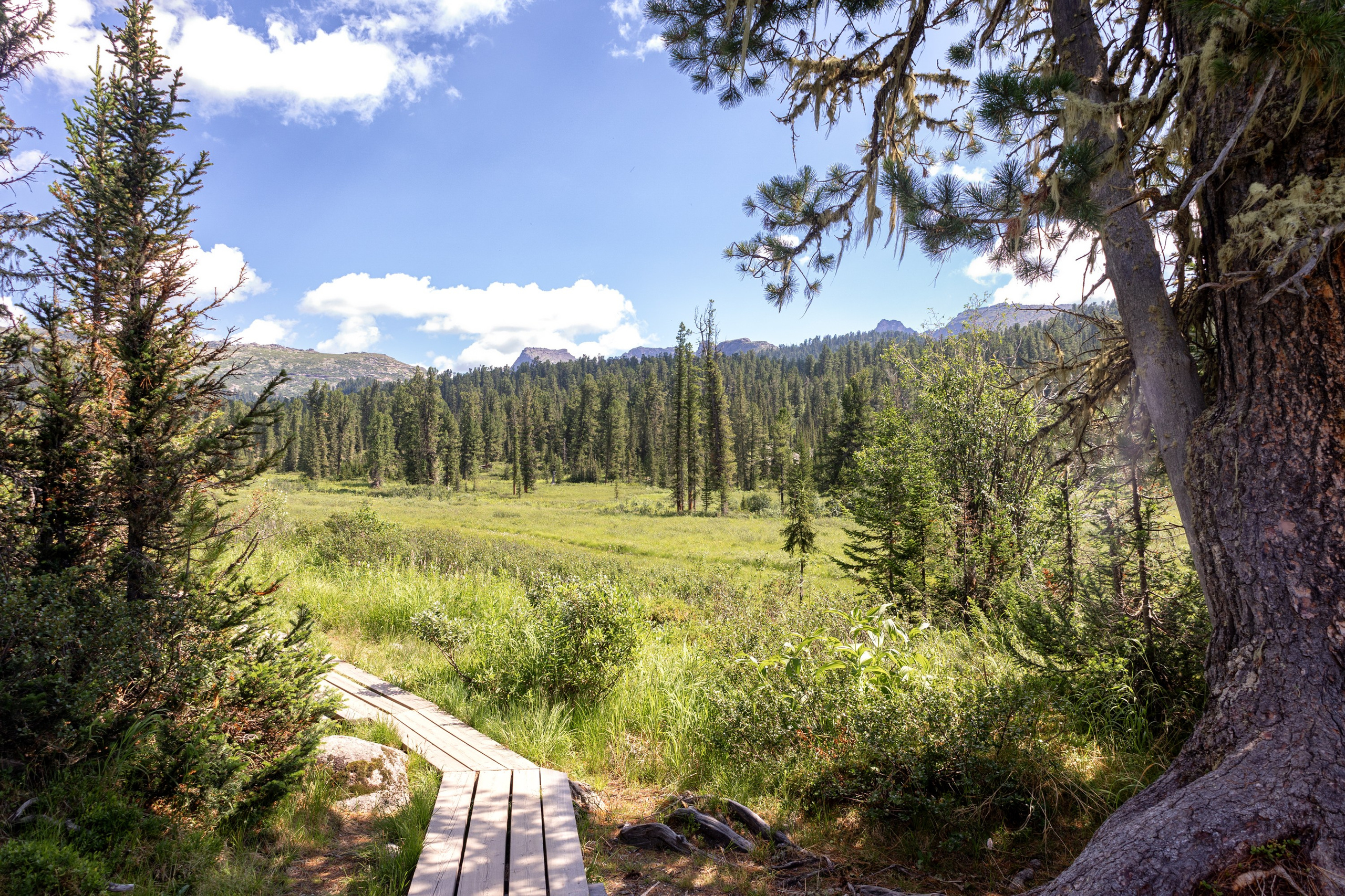 Ергаки. Семейный и детский фотограф в Красноярске, Дивногорцева Светлана