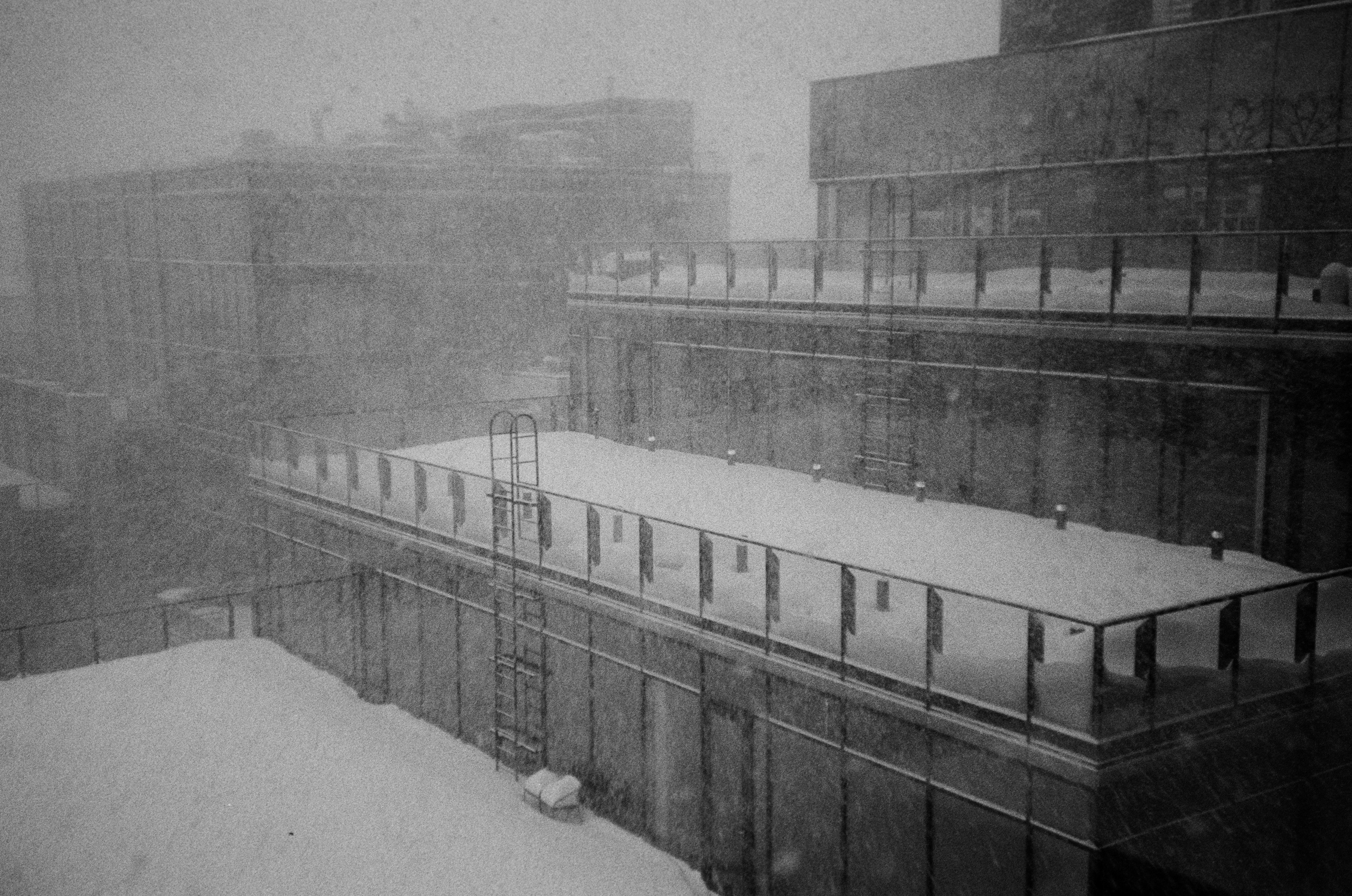 Grain. Artem Khusainov