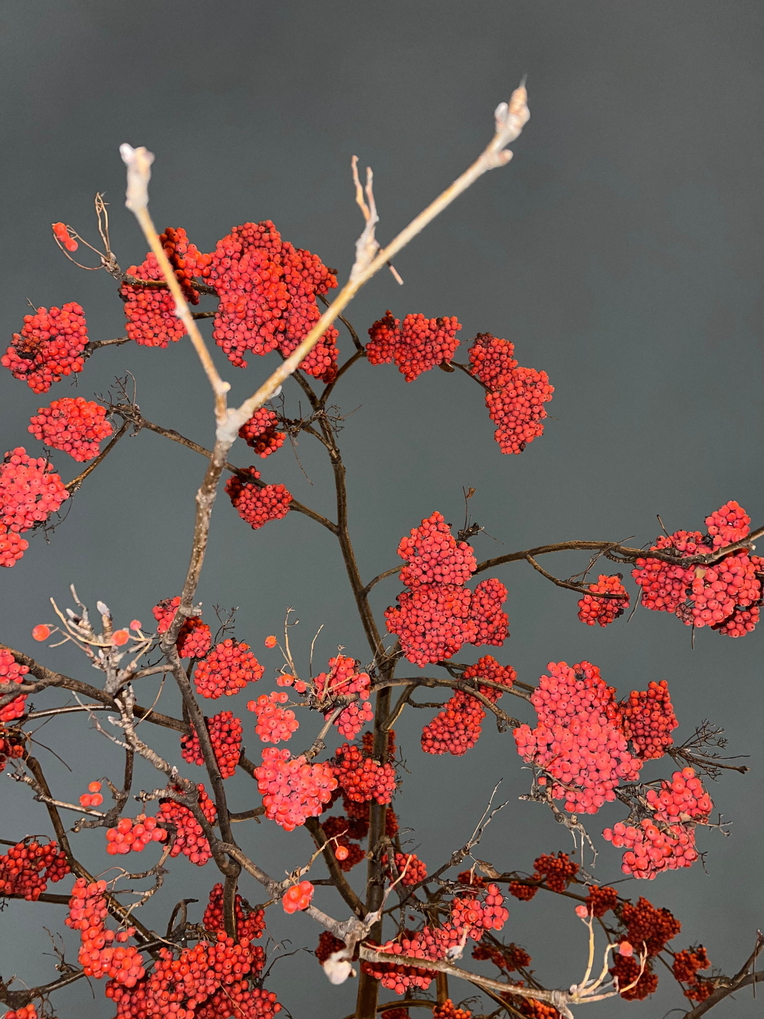 Fragments. Artem Khusainov