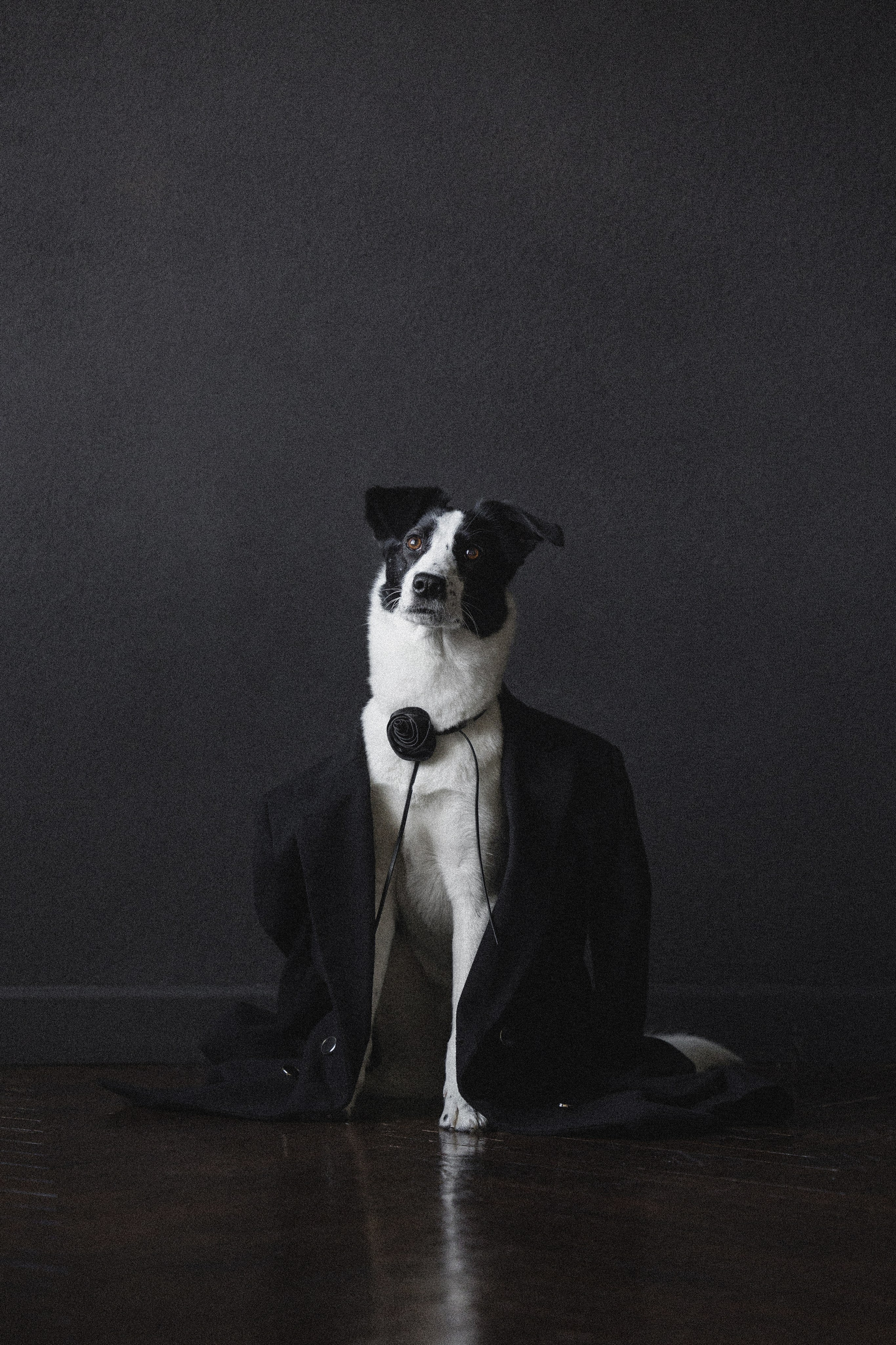 Портфолио. Фотограф-анималист в Екатеринбурге Марина Шишкина