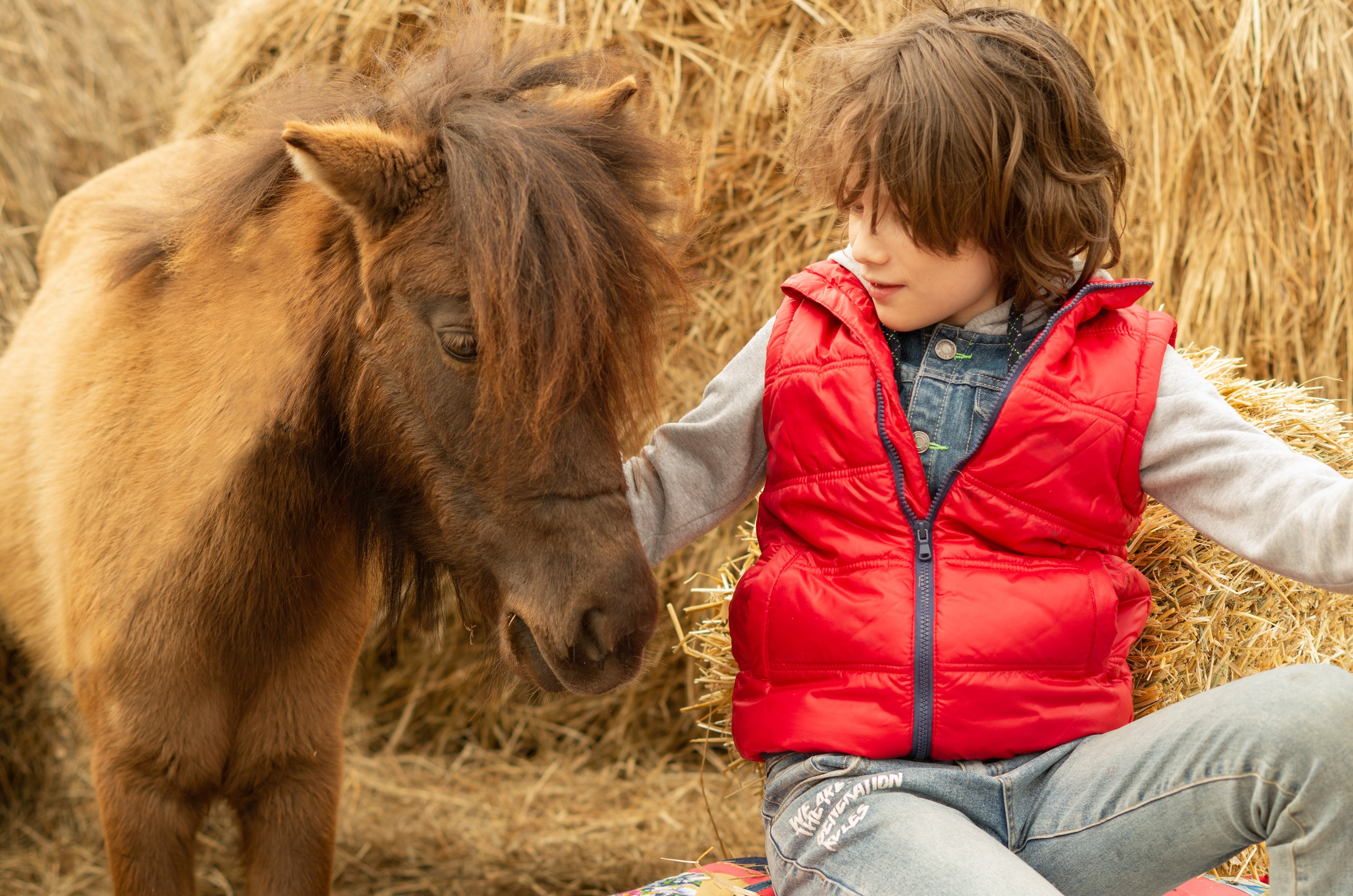 ДЕТИ & ЛОШАДИ. Фотограф Марина Доглядная Челябинск фотосессии с лошадьми, мотоциклами