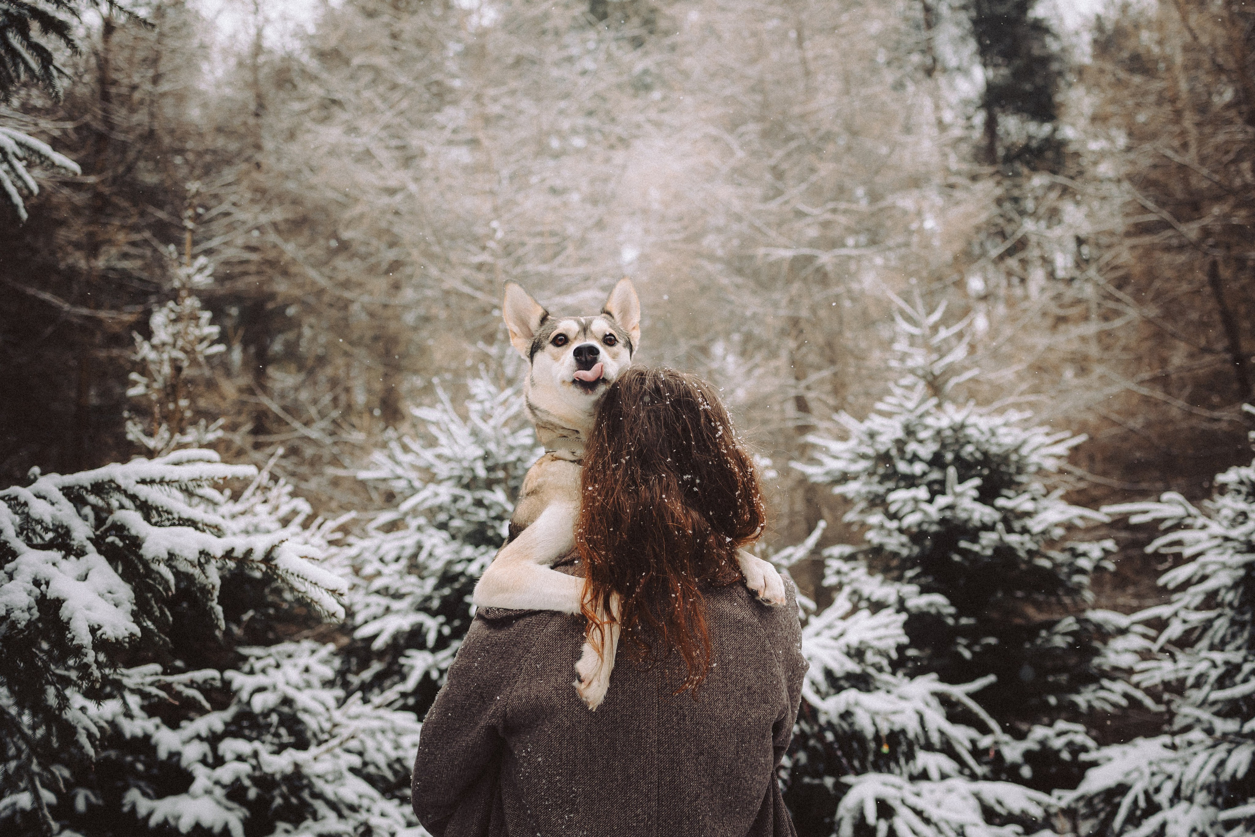 Аня и Рокси