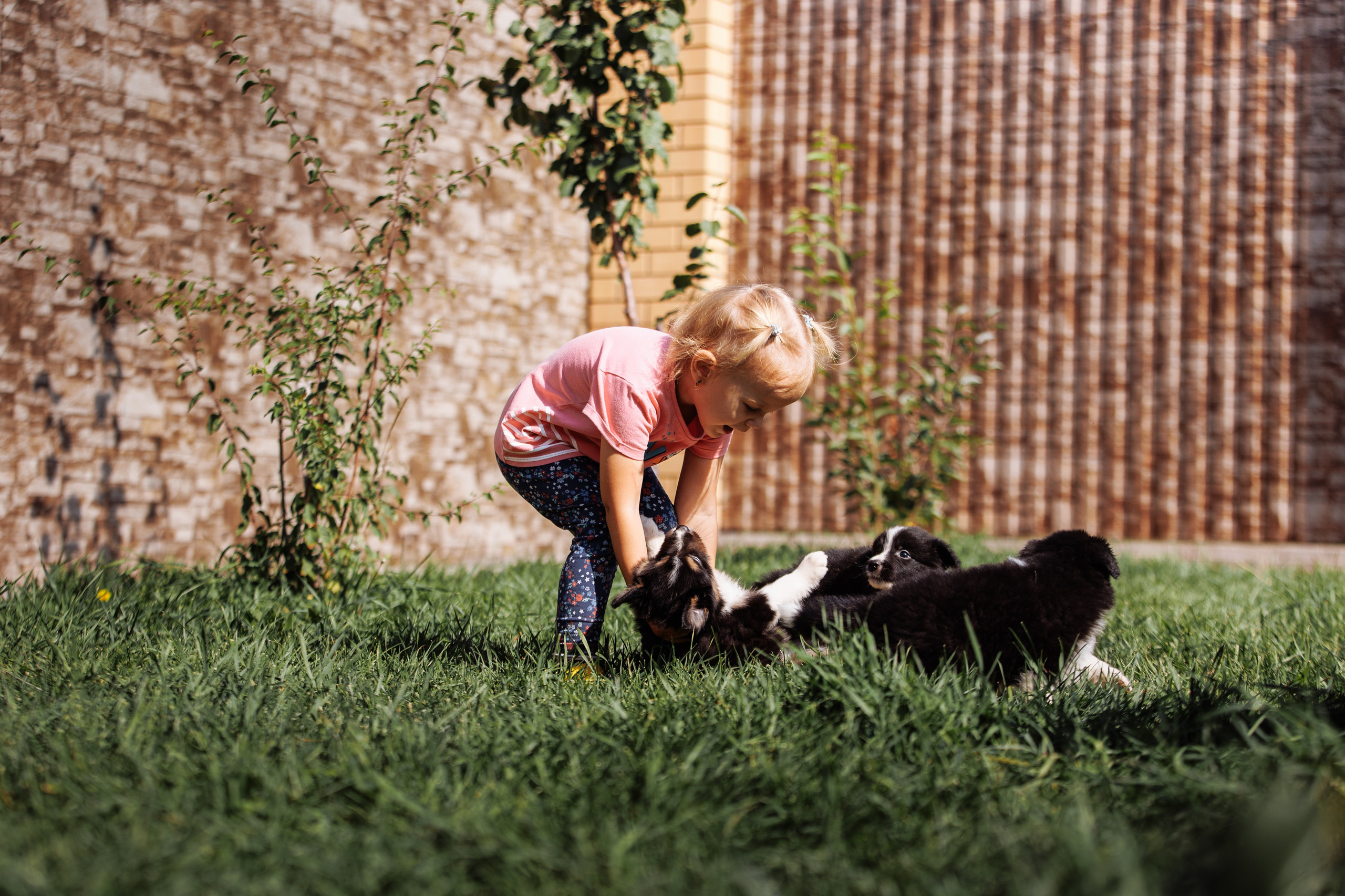 МММ — маленькое мягкое милое. О нас