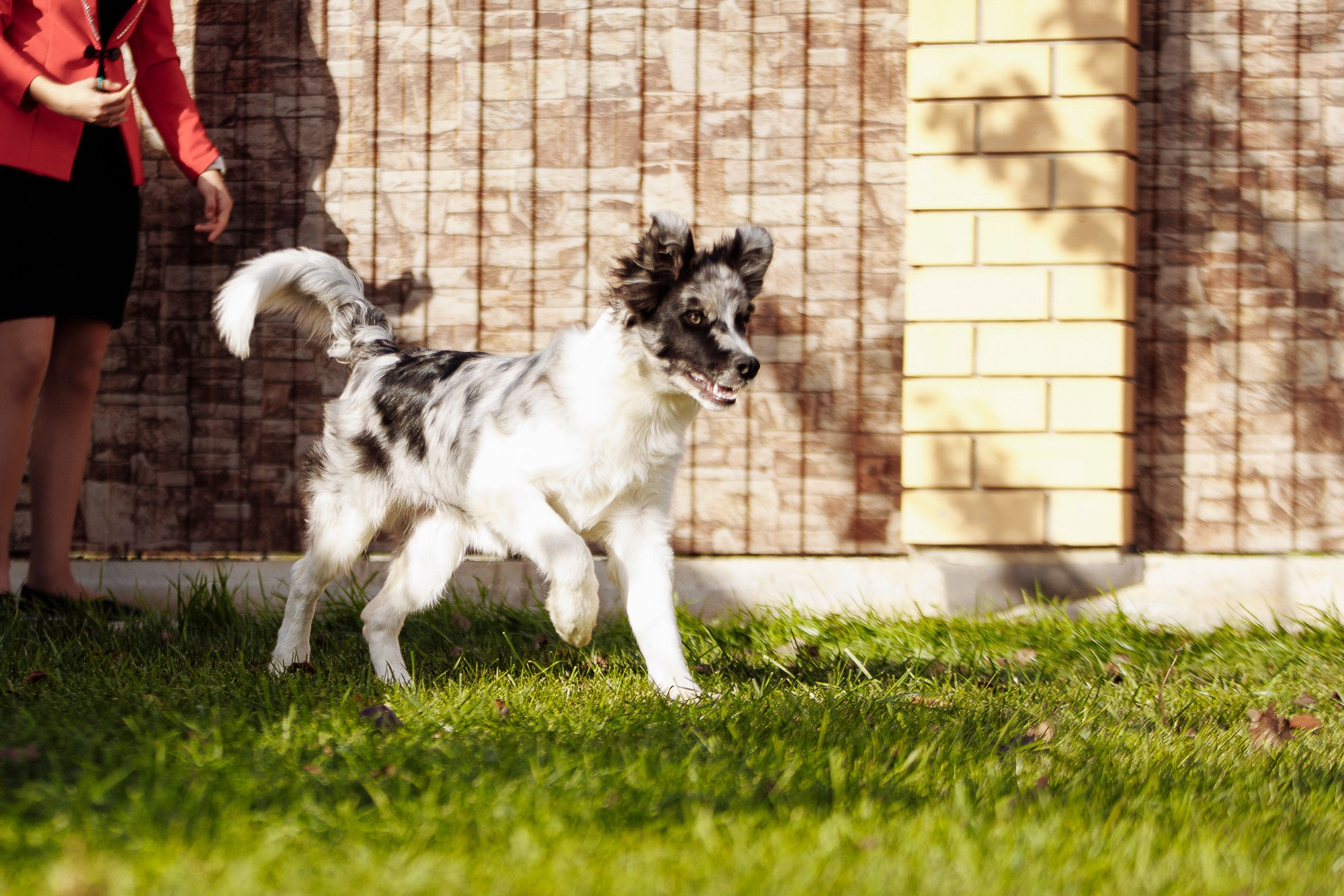 У дома с большой компанией от мала до велика. О нас