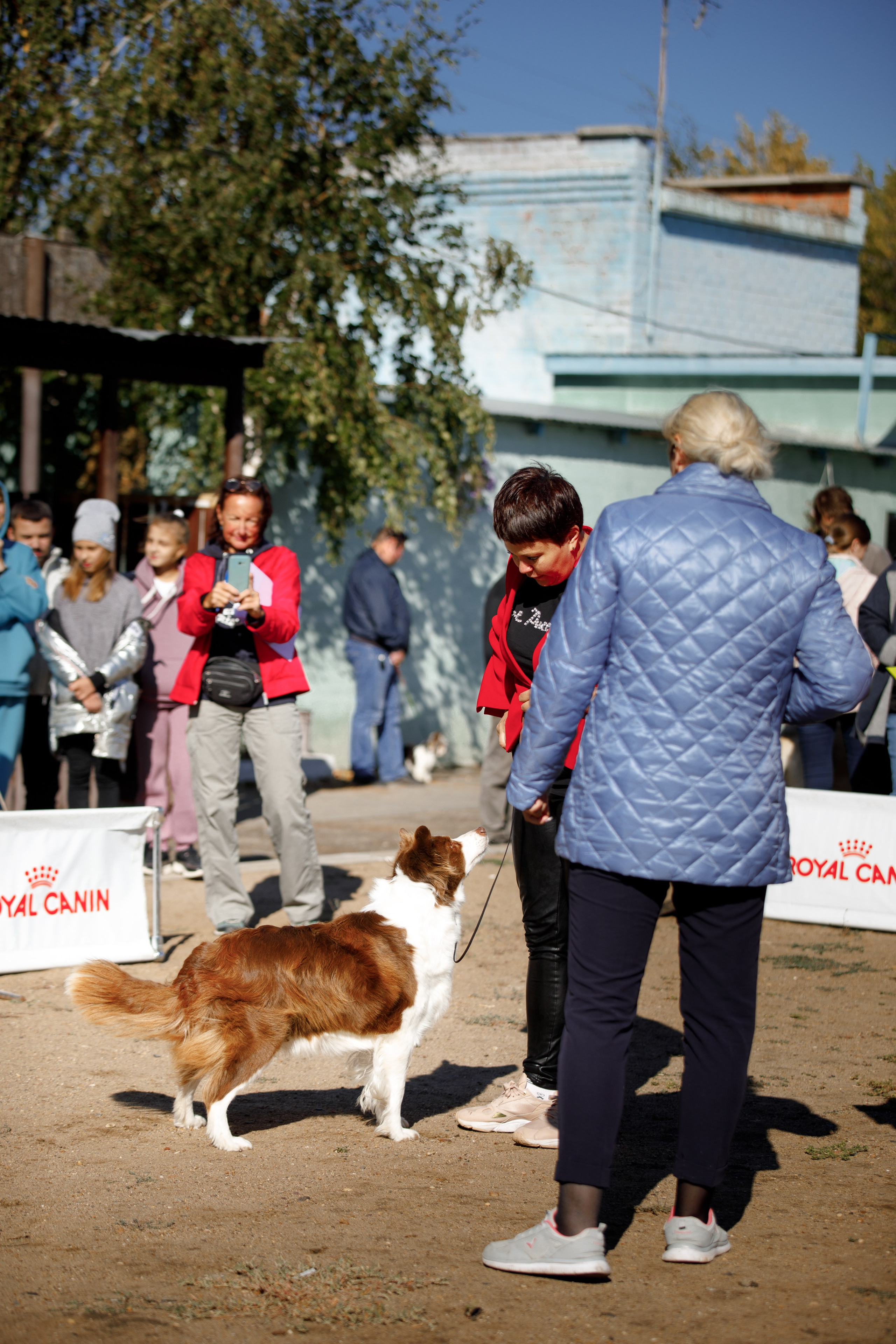 Водяные в Новотроицке. О нас
