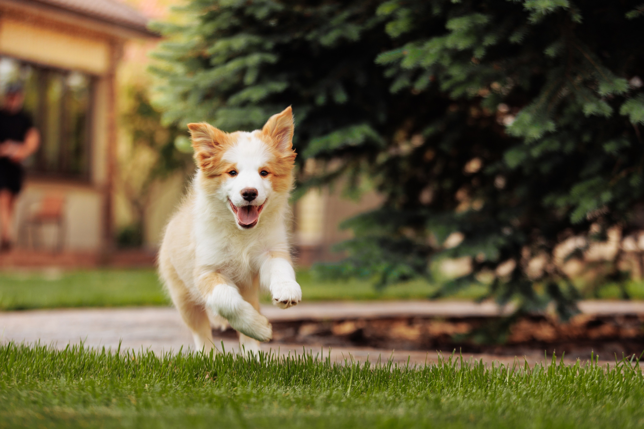 СОлнечные. О нас