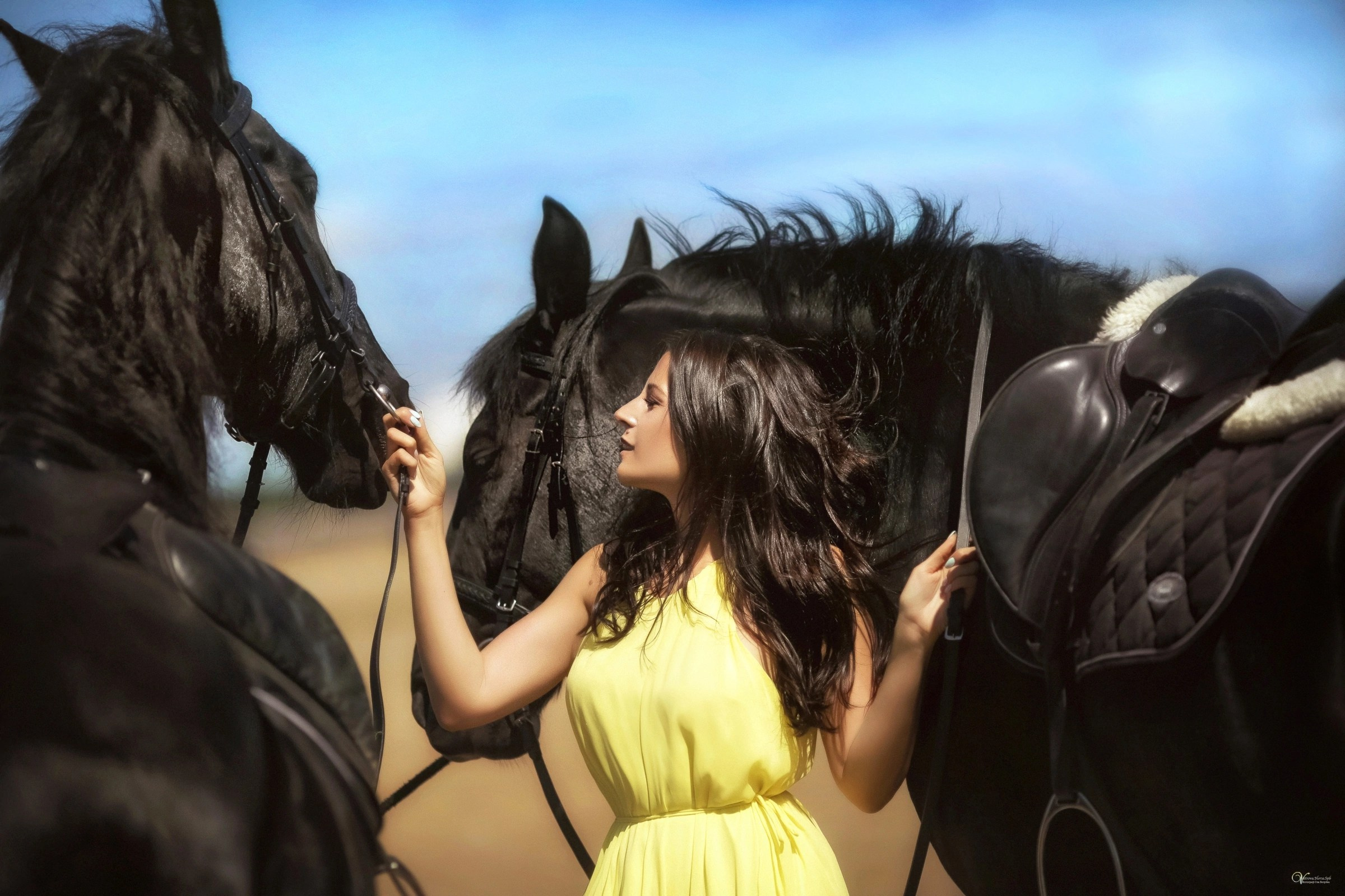 Фотосессия в стиле вог Vogue, девушка с двумя лошадьми