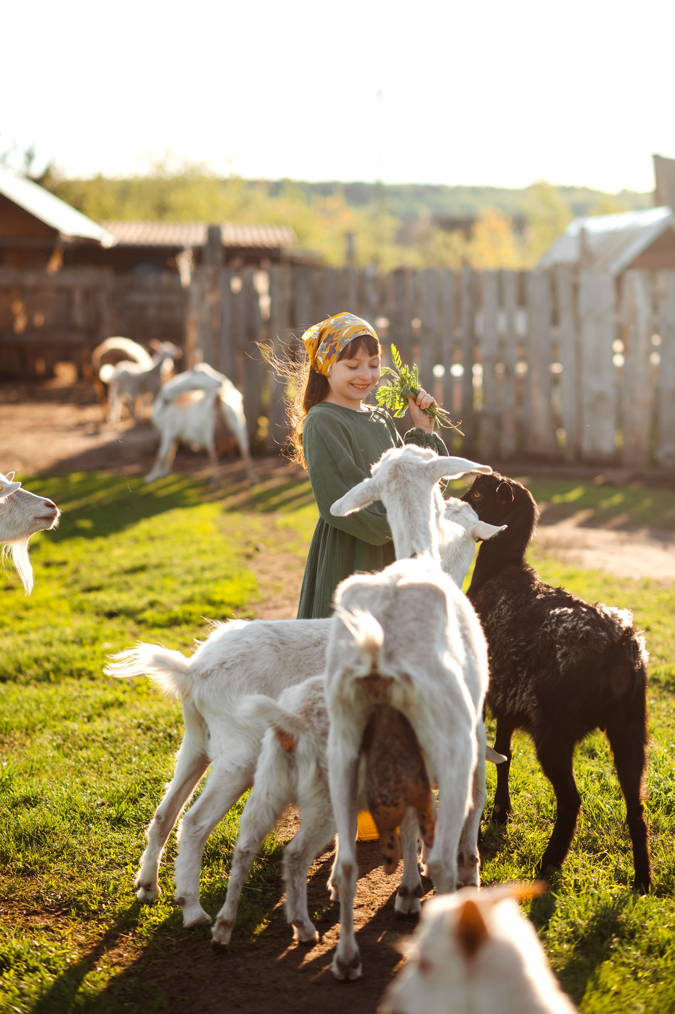 О любви к животным. Свадебный и семейный Фотограф в Пензе Татьяна Лапоногова