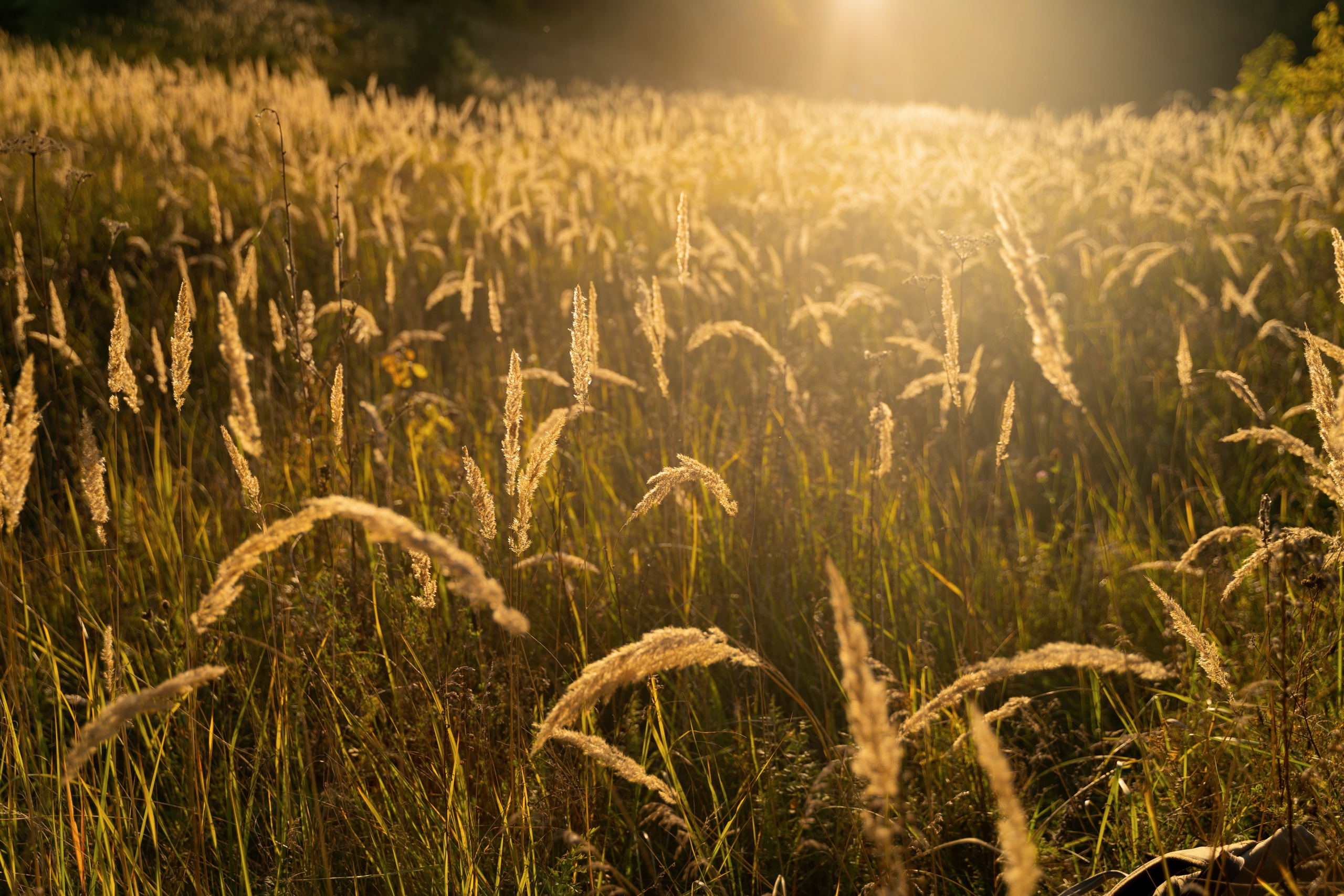 Галина. Фотограф в Нижнем Новгороде Алексей Уковский