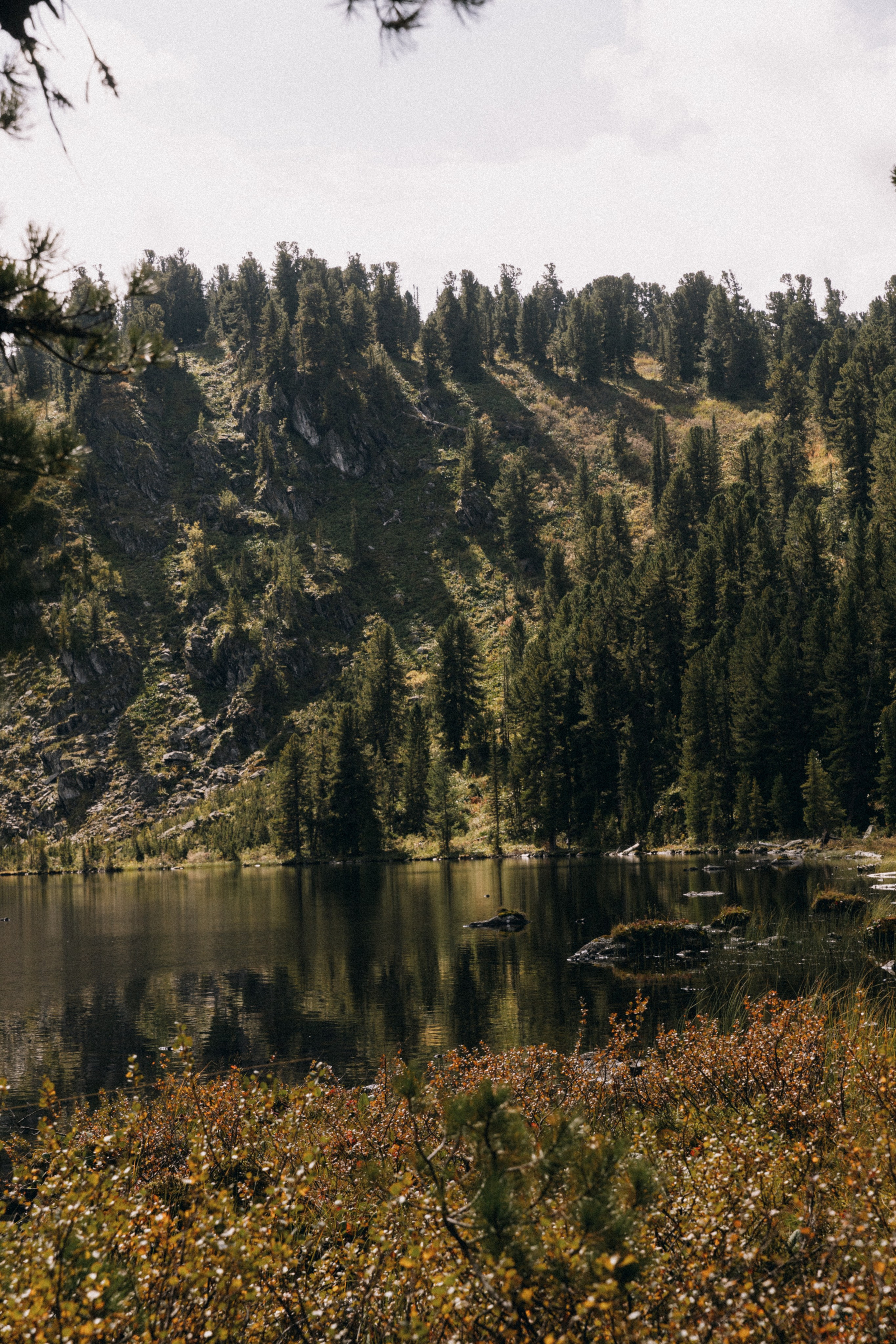 Алтай, природа и эстетика. Александр Чернин. Семейный и событийный фотограф