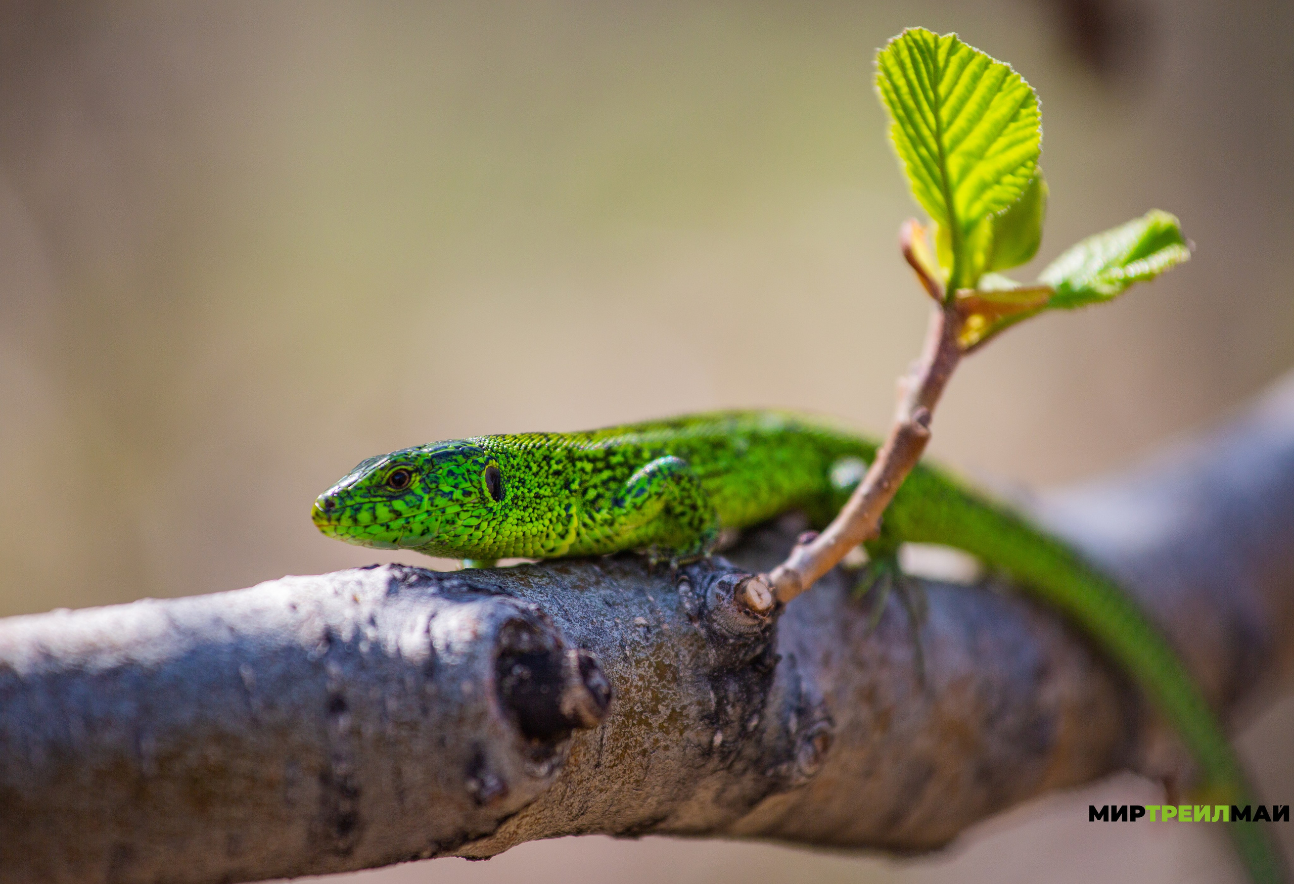 Южный Урал. Авторские туры с профессиональным фотографом