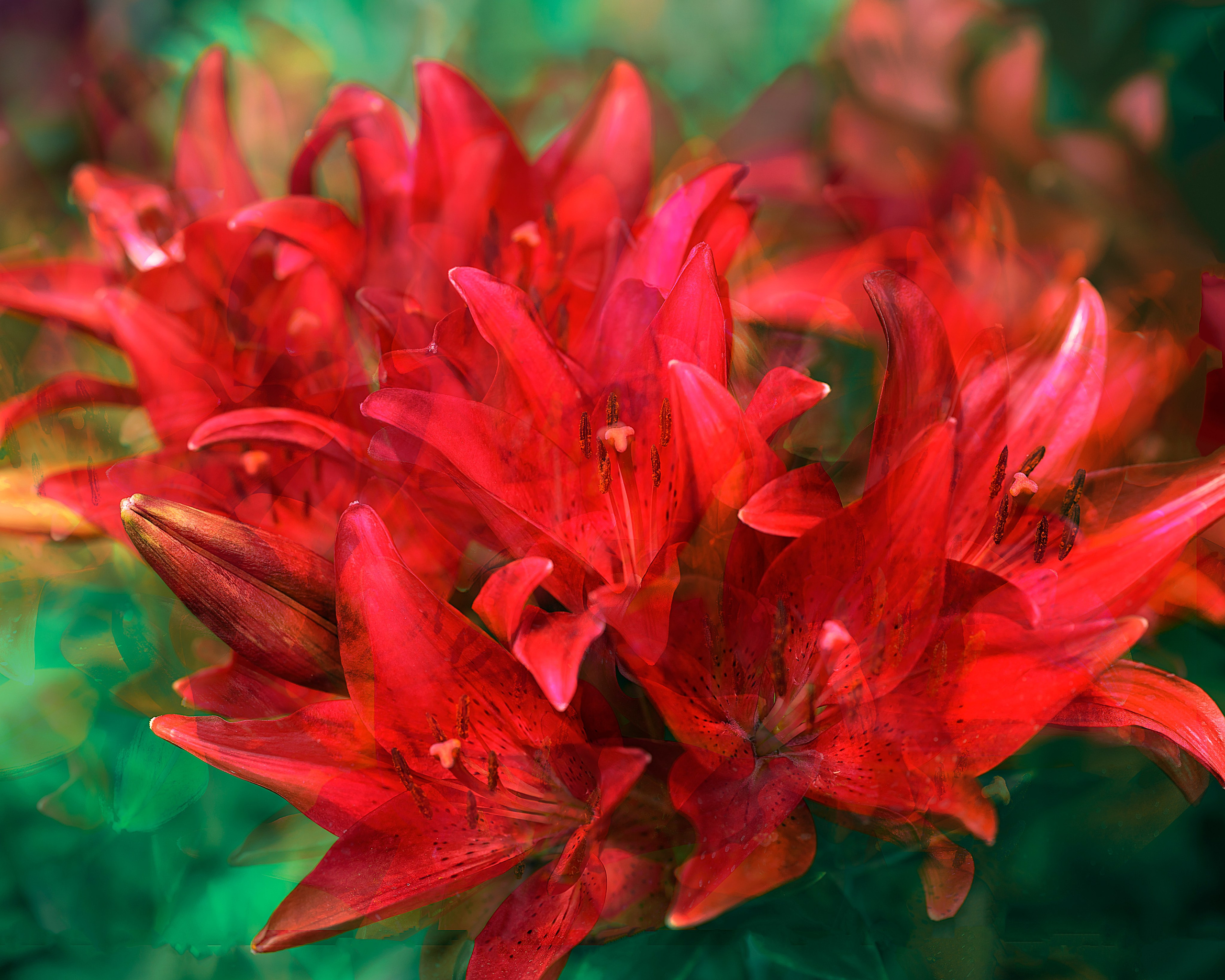 Поэзия цветов. Портретный фотограф в Челябинске Катерина Руди