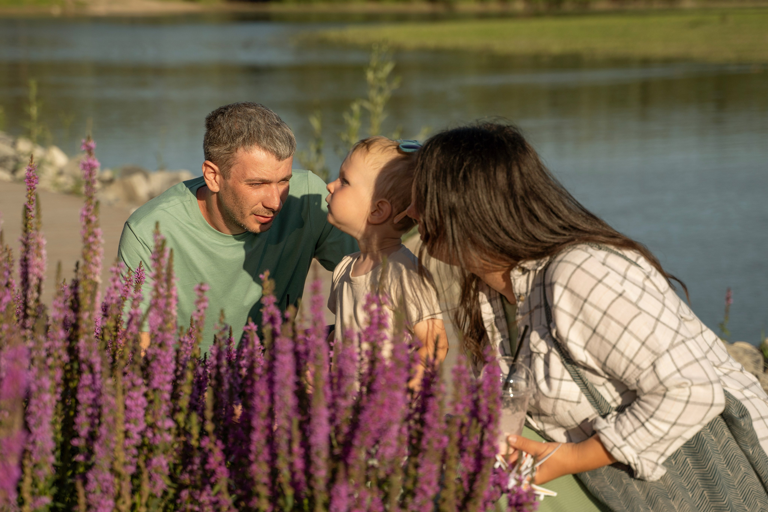 Семейная прогулка. Главная