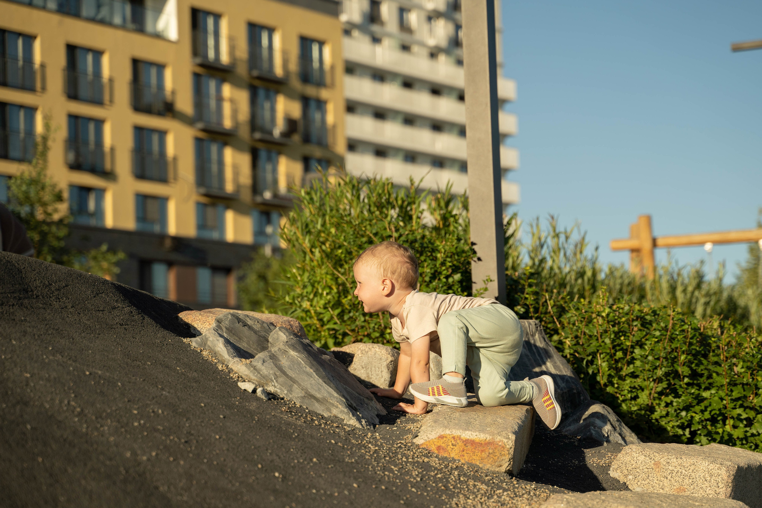 Семейная прогулка. Главная