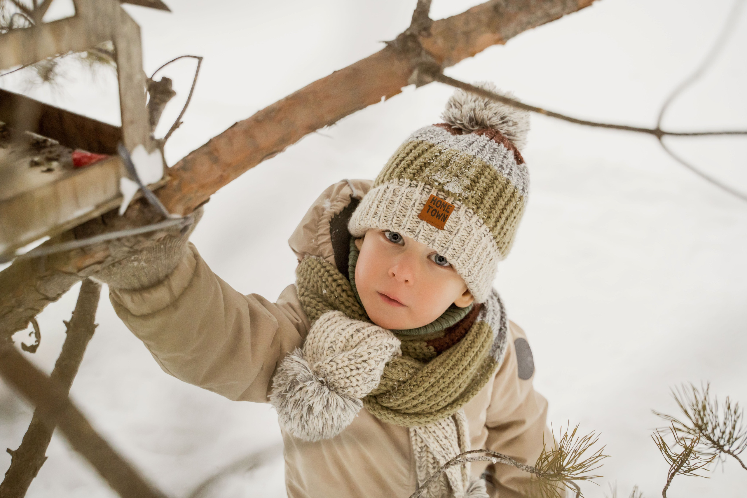 Зимняя прогулка. Главная