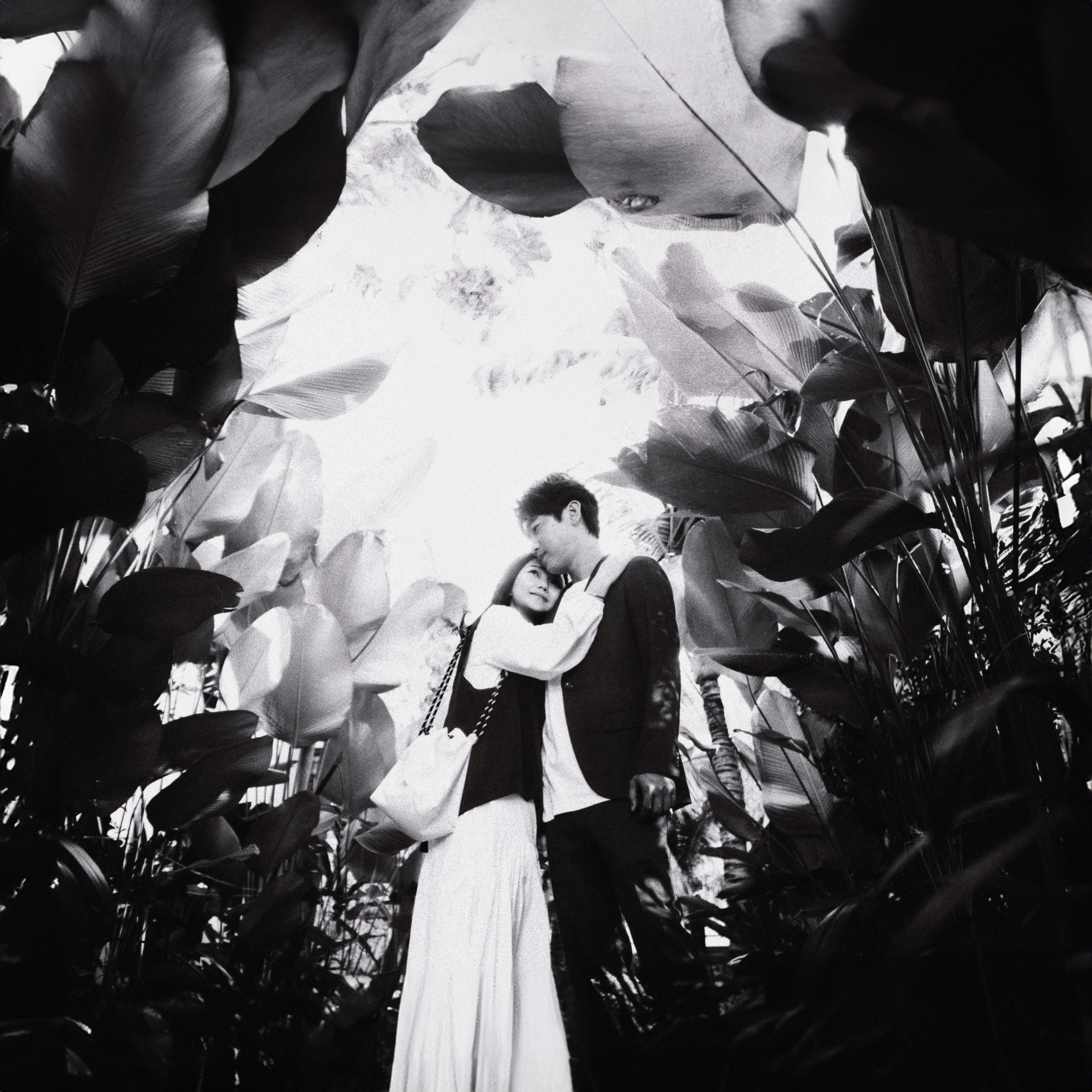 Свадьбы. Фотограф в Нячанге — Данил Прокопенко