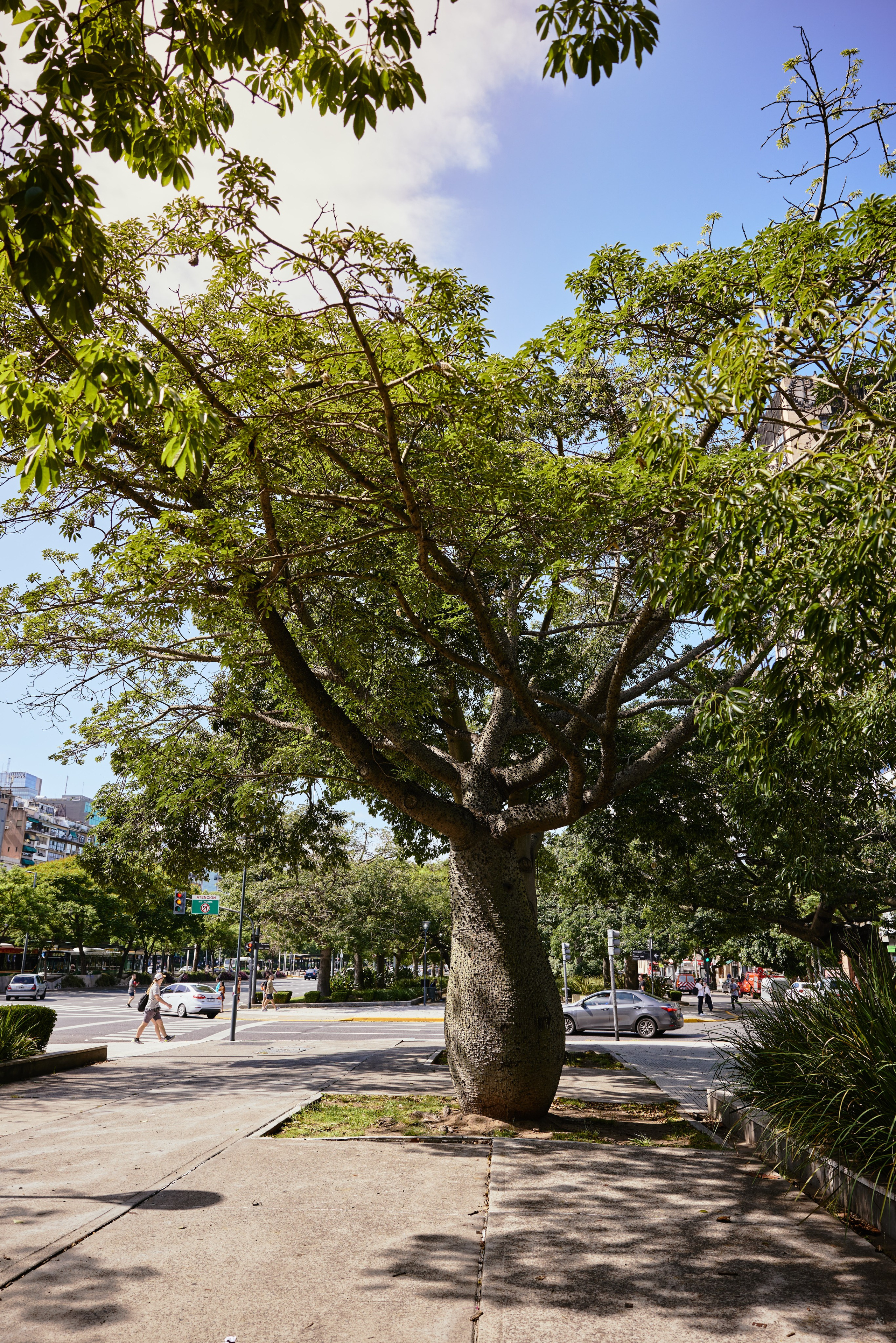 Буэнос-Айрес, Аргентина. Alexander Ermolenko