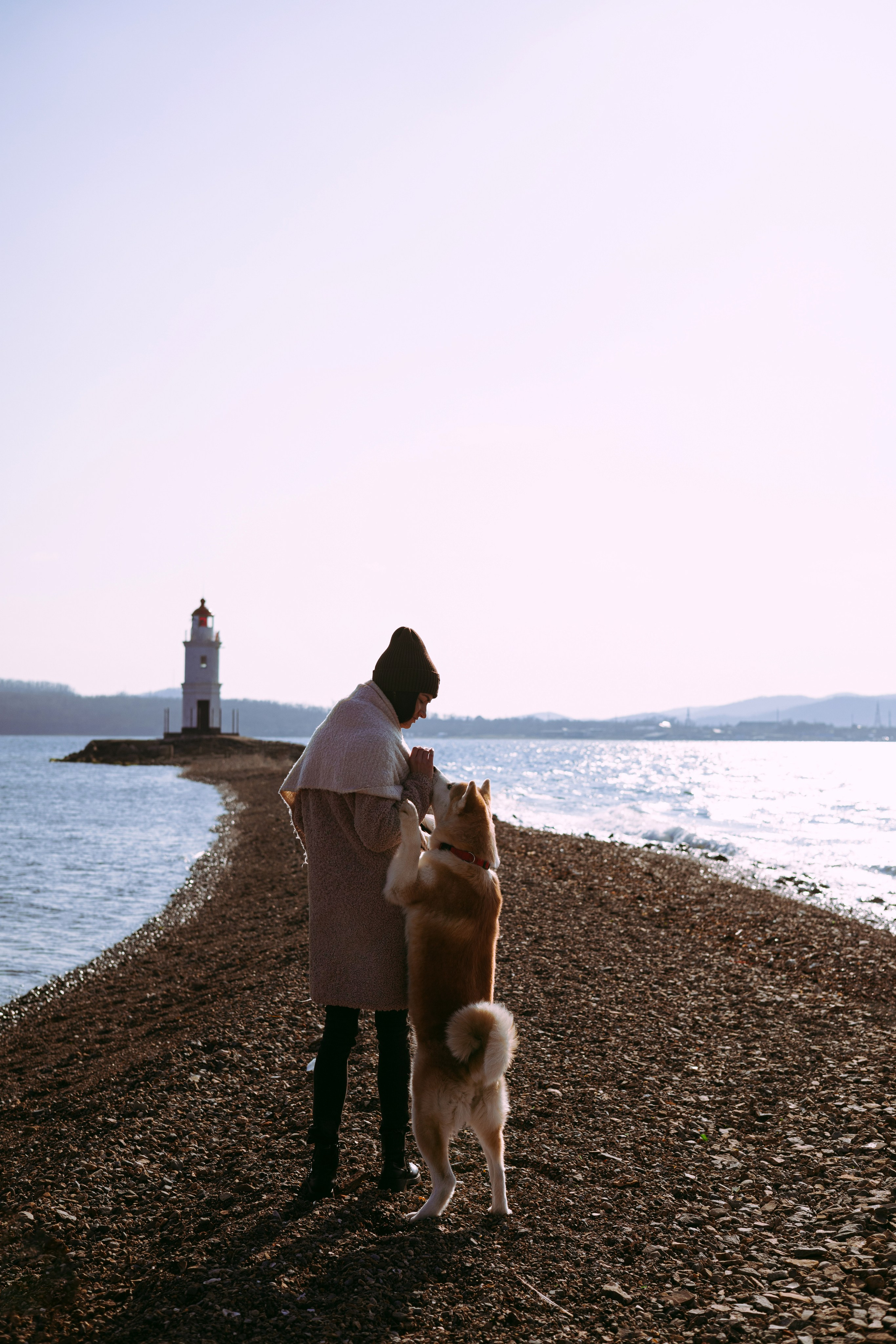 Мария и Бейла. Фотограф — анималист Владивосток, Алина