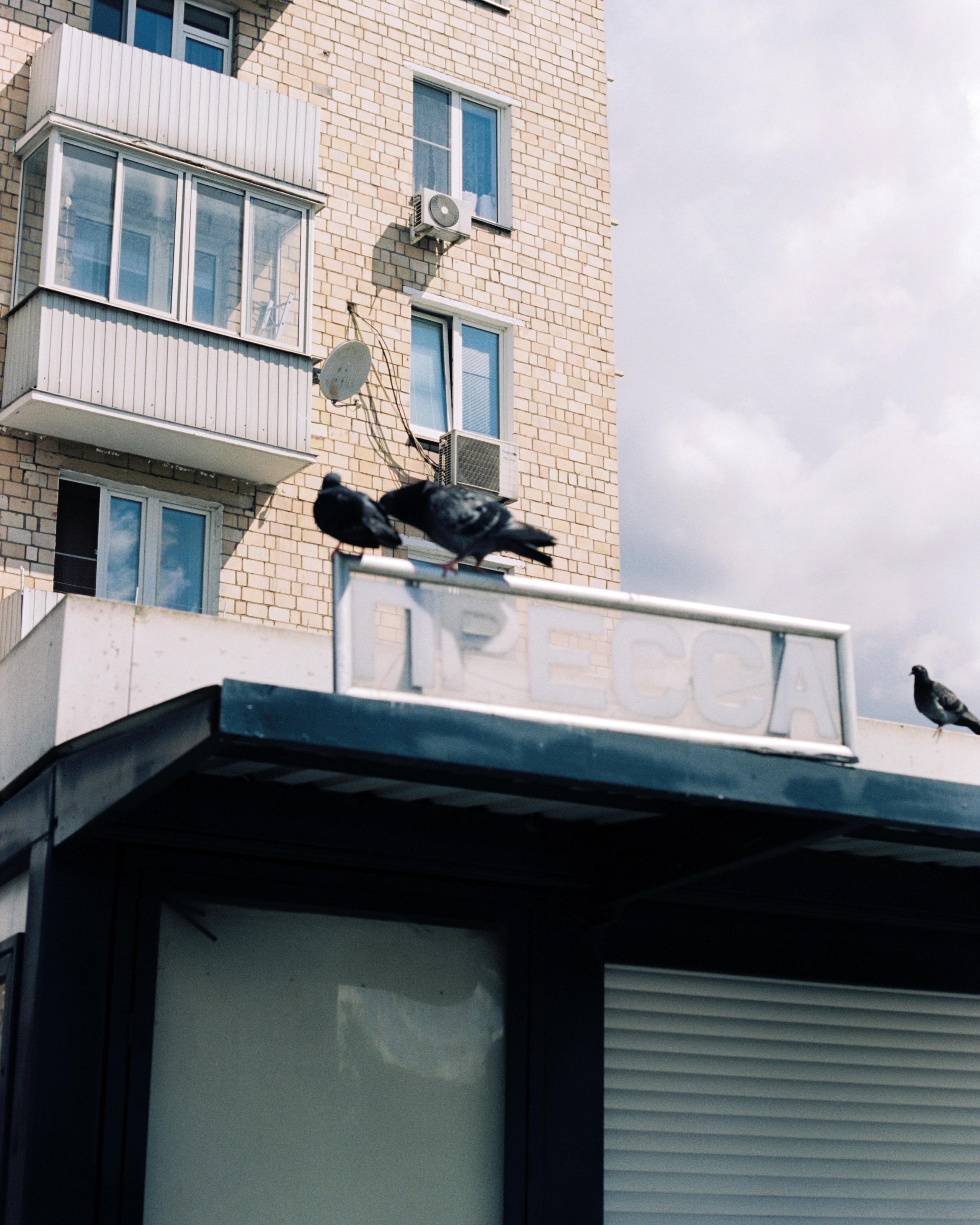 Moscow. Kirill Shashkov