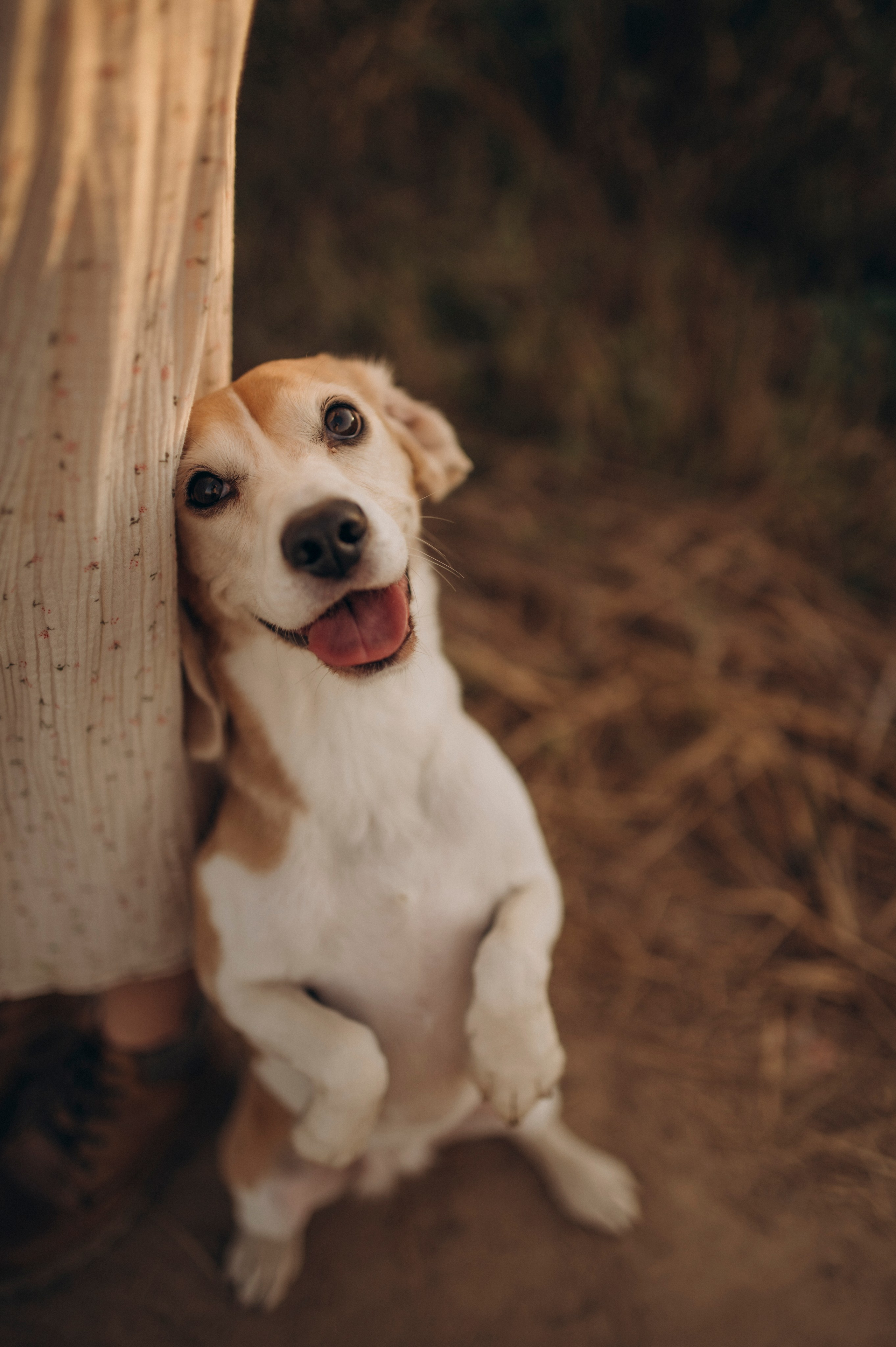 Семейные. Семейный и женский фотограф в Москве Юлия Мороз