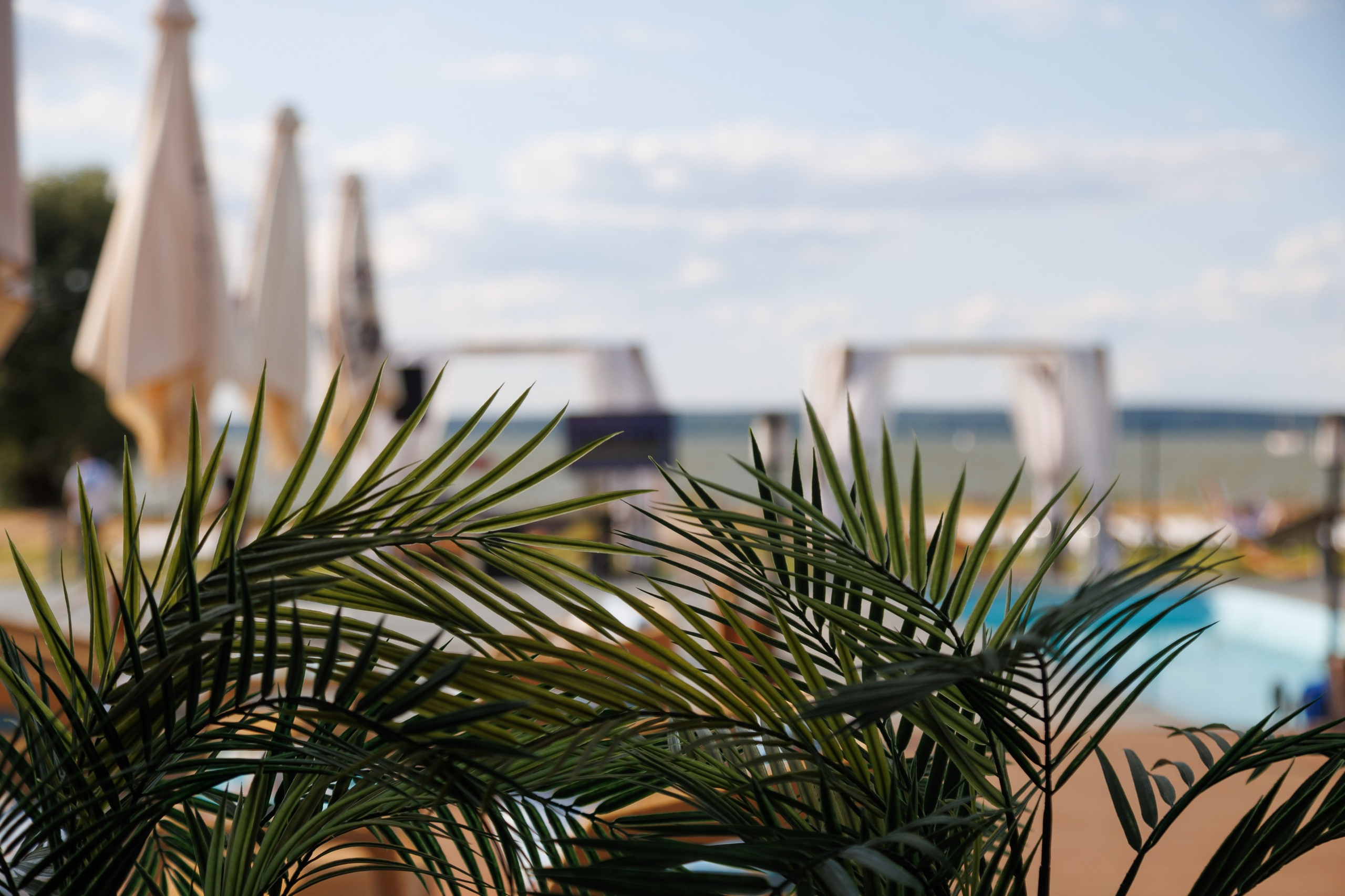 Репортажи. Репортажный фотограф Александр Задорин, Минск, Беларусь