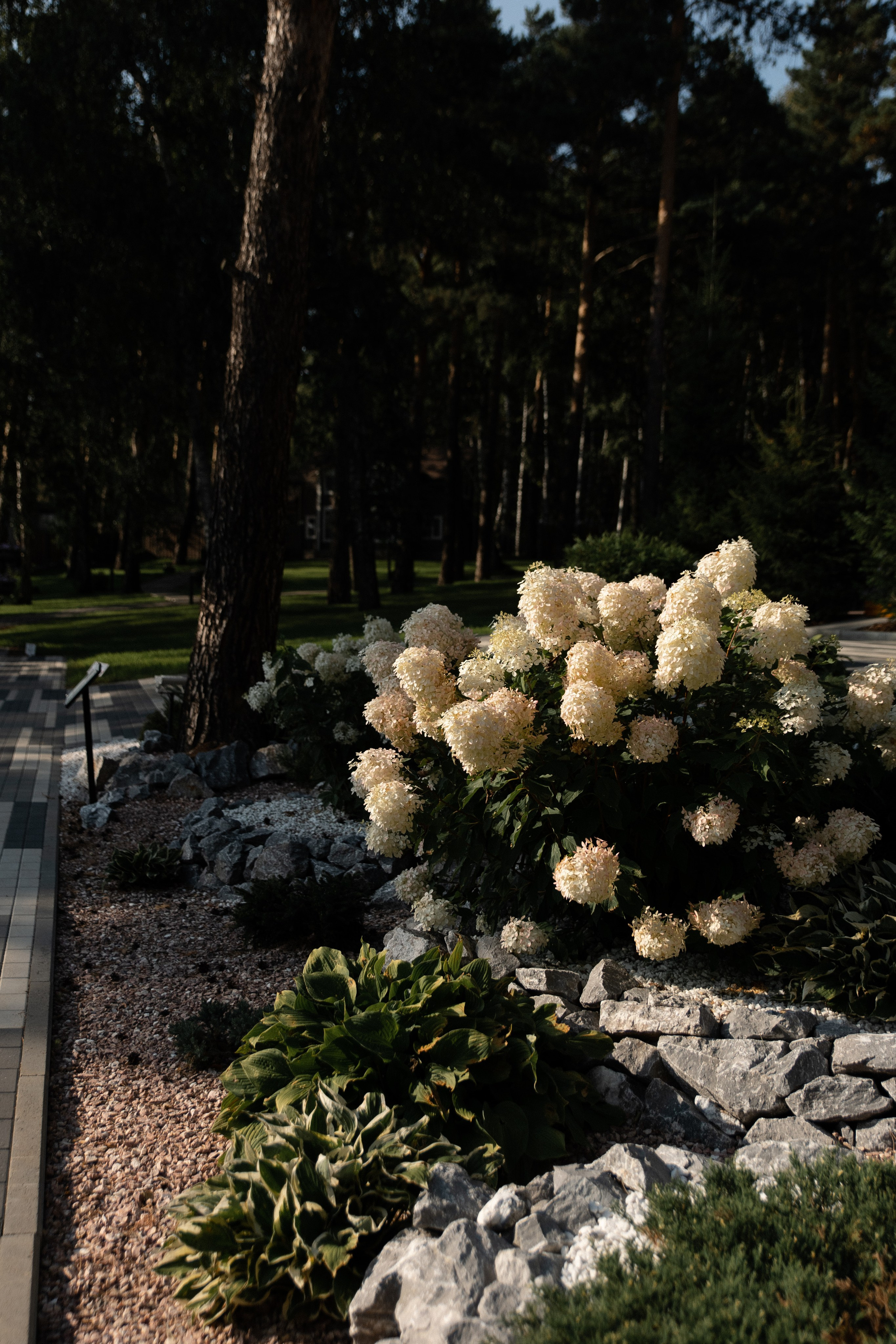 Wedding. Главная