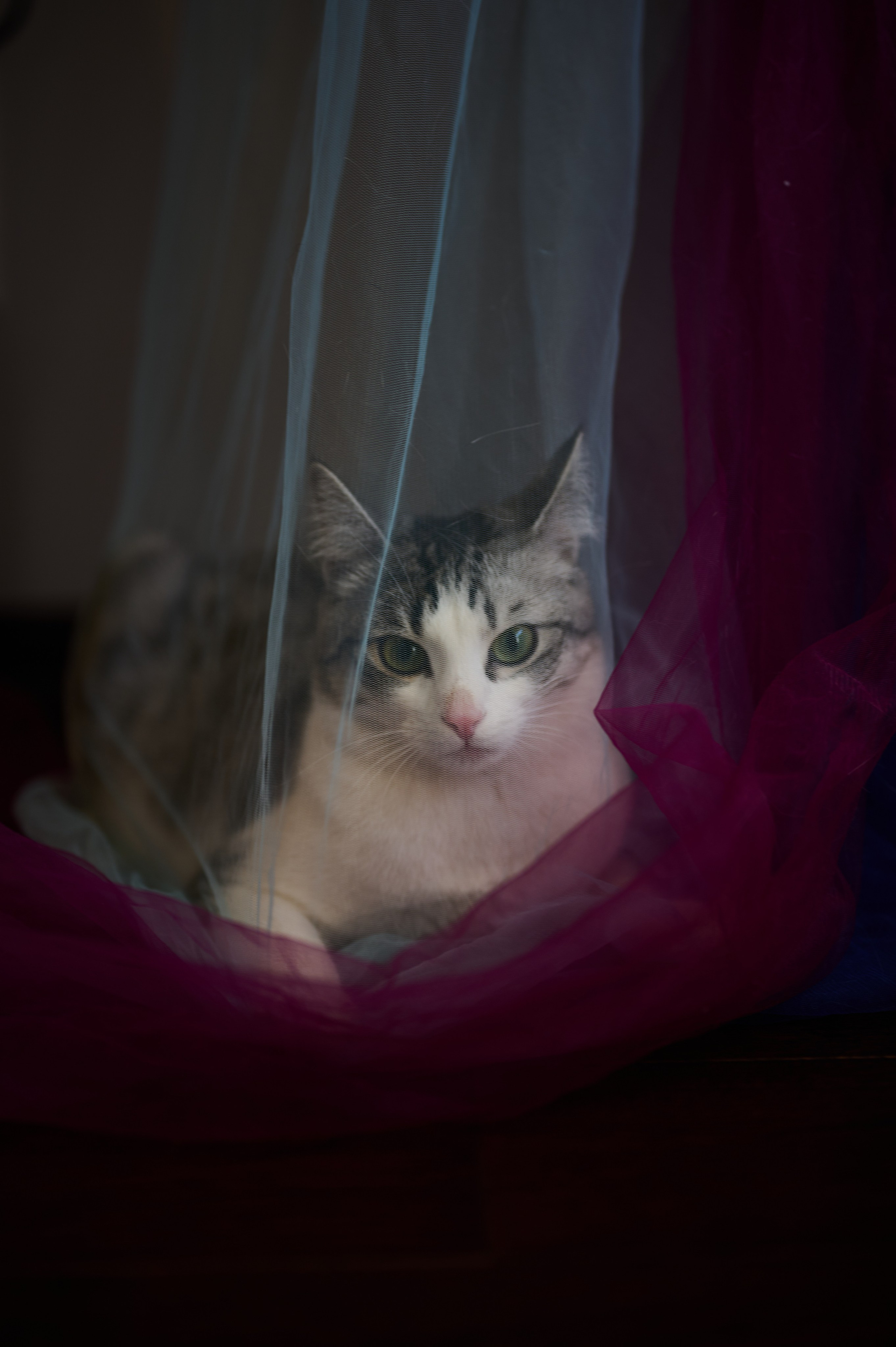 Таня. Главная