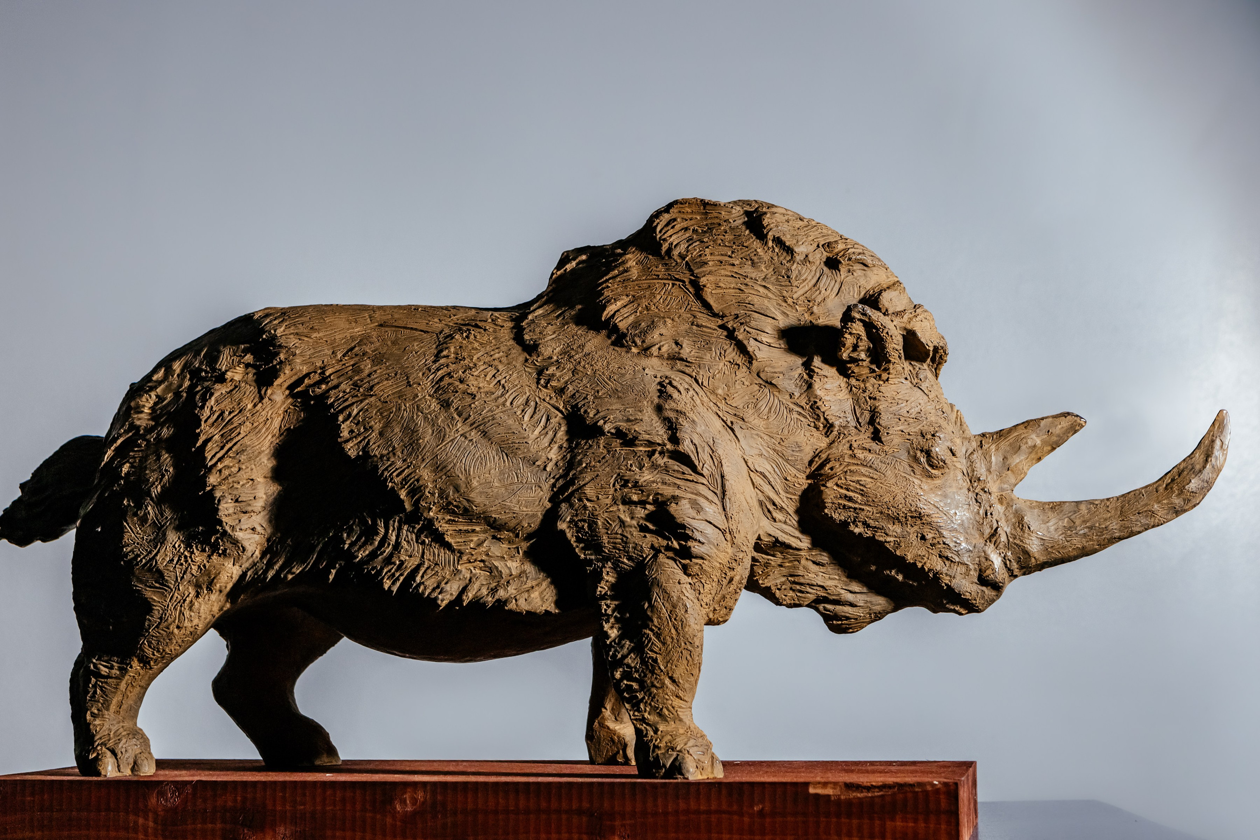 Скульптуры. Михаил Серёдкин. Фотограф в Красноярске Оксана Корчагина