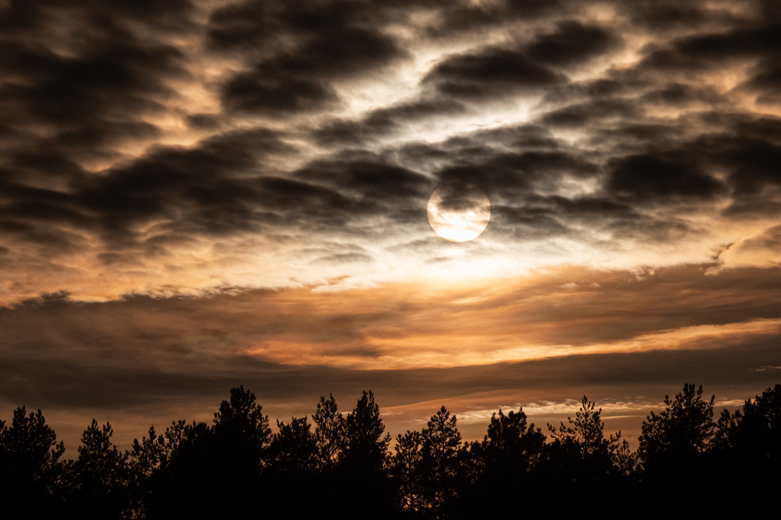 Красота Заречного. Репортажный, семейный и детский фотограф в Пензе и Заречном Арина Ермилова. Картины барельеф на заказ