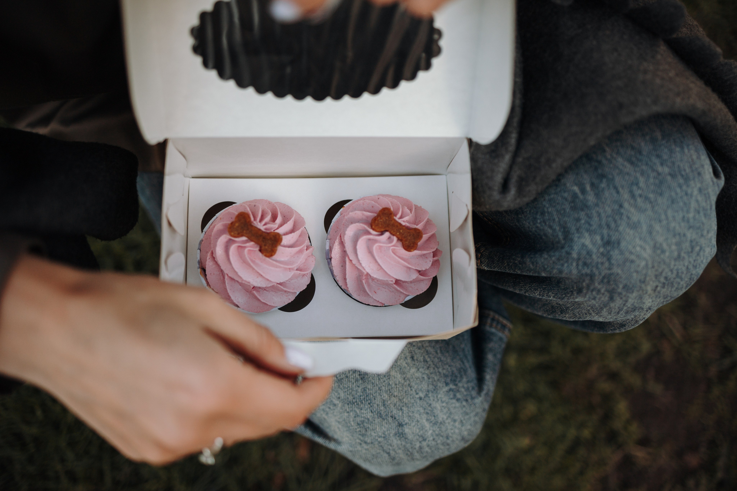 Даша и ее девочки. Фотограф — Анималист | Санкт-Петербург