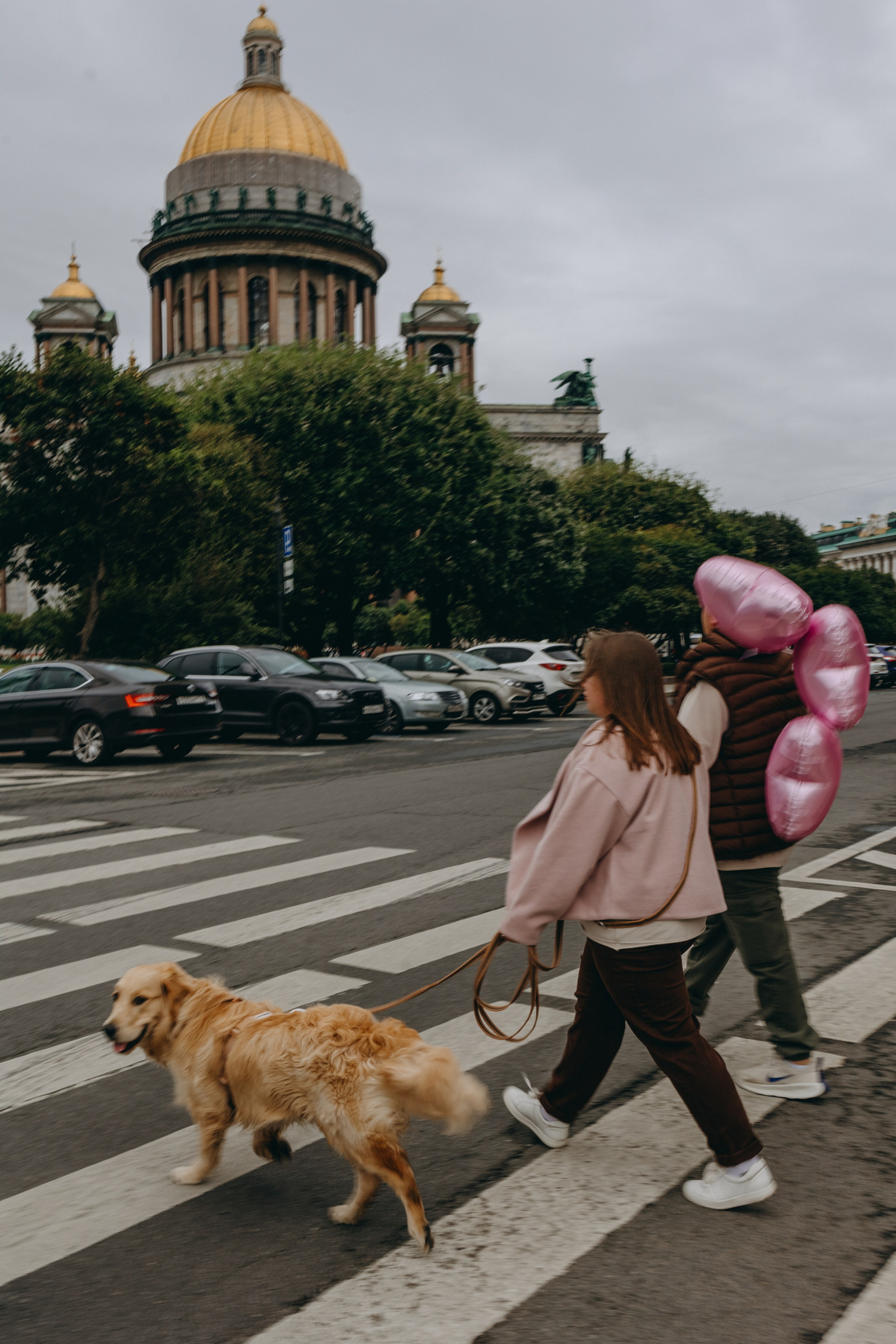 Бетти и ее семья. Фотограф — Анималист | Санкт-Петербург