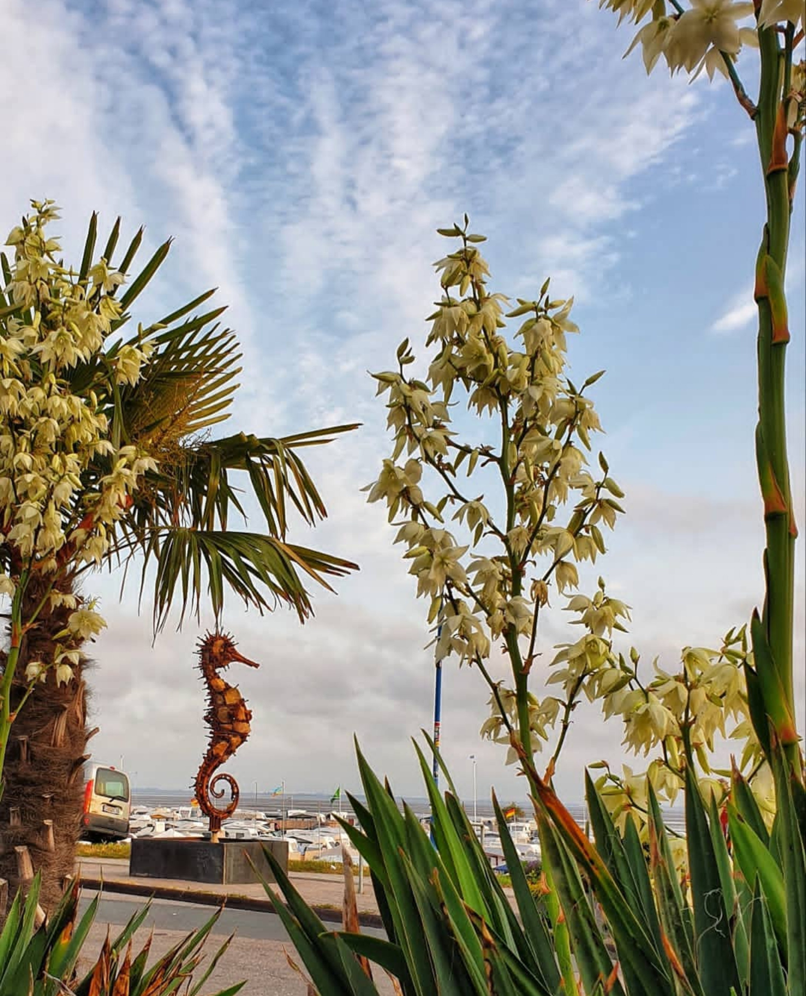 Морской конёк _ Германия _ Дангаст _ Северное море _ 2018. Художник — скульптор Антонина Фатхуллина