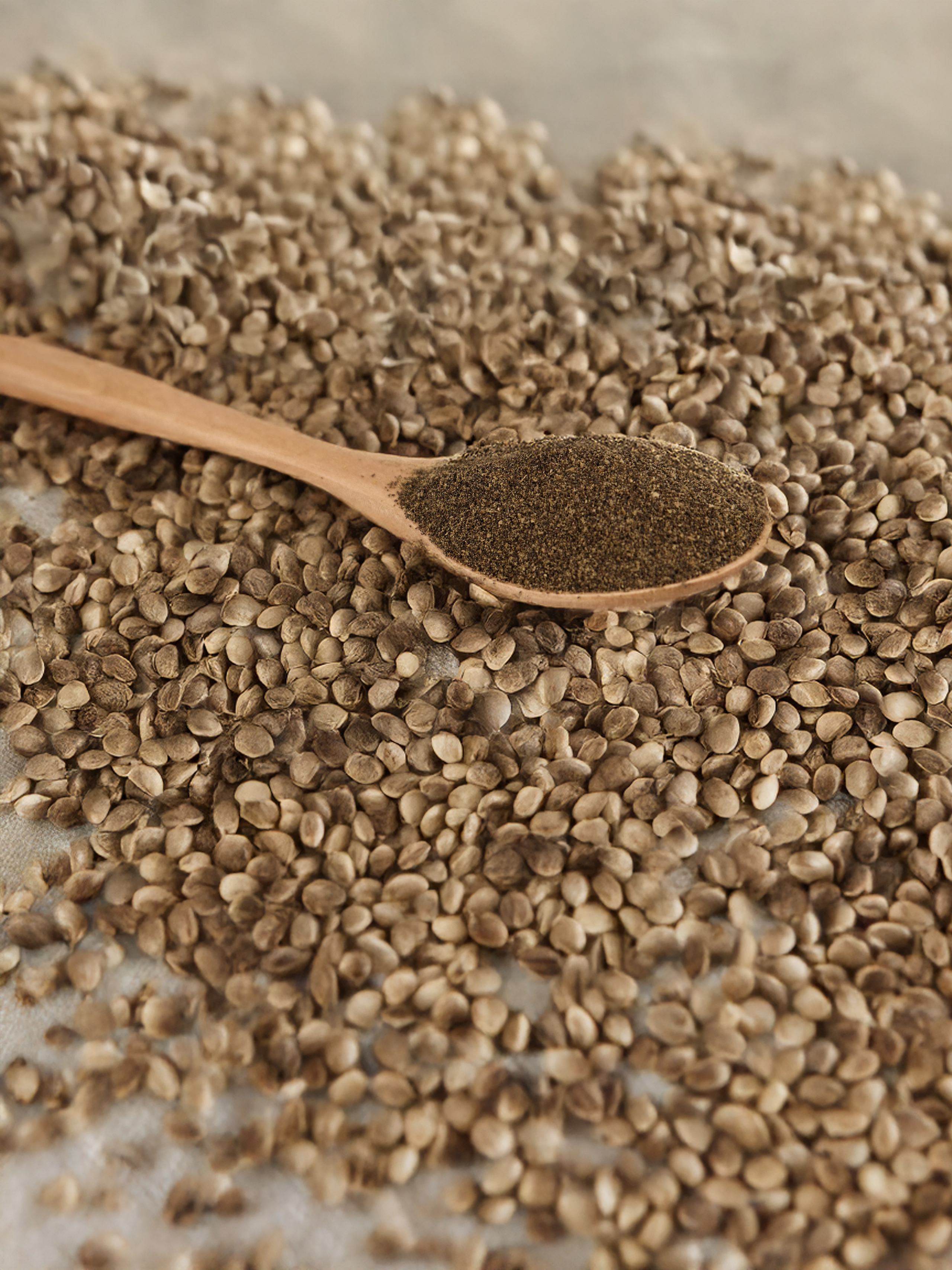 Клетчатка. Концептуальный фотограф Шлыкова Ольга