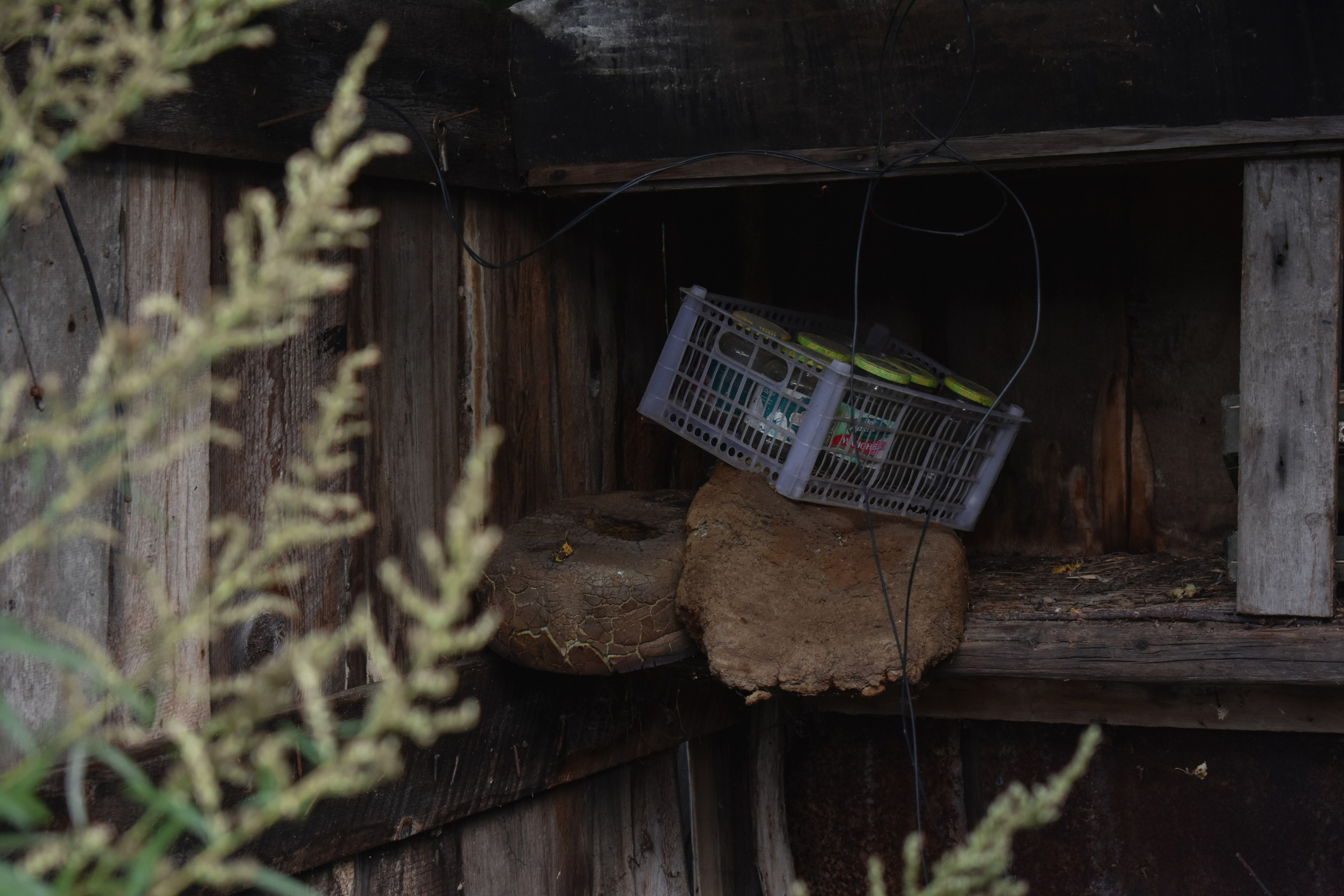 Abandoned. Портретный фотограф во Владивостоке Елена Шкурко