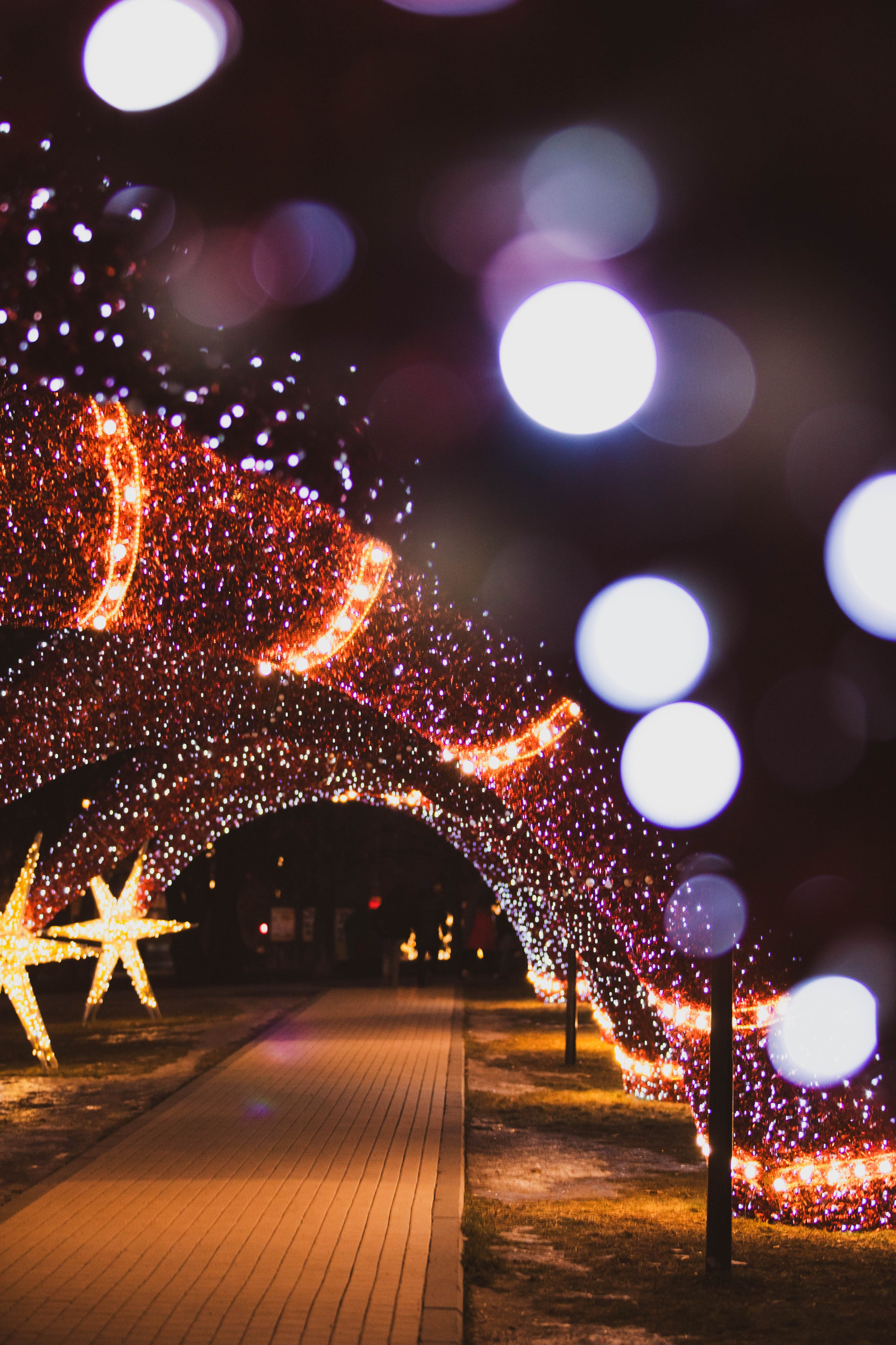 Ростокинский Акведук. Александра Мельниченко/ Бегающий фотограф