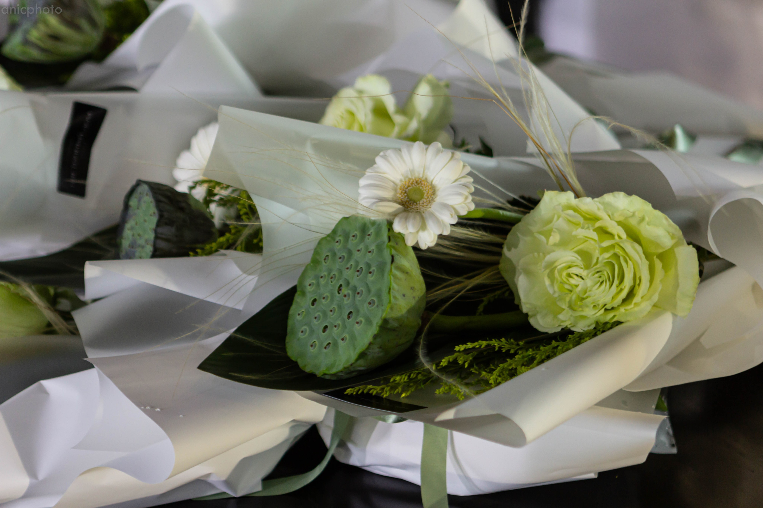 BFN. Аник фотограф Симферополь, Крым