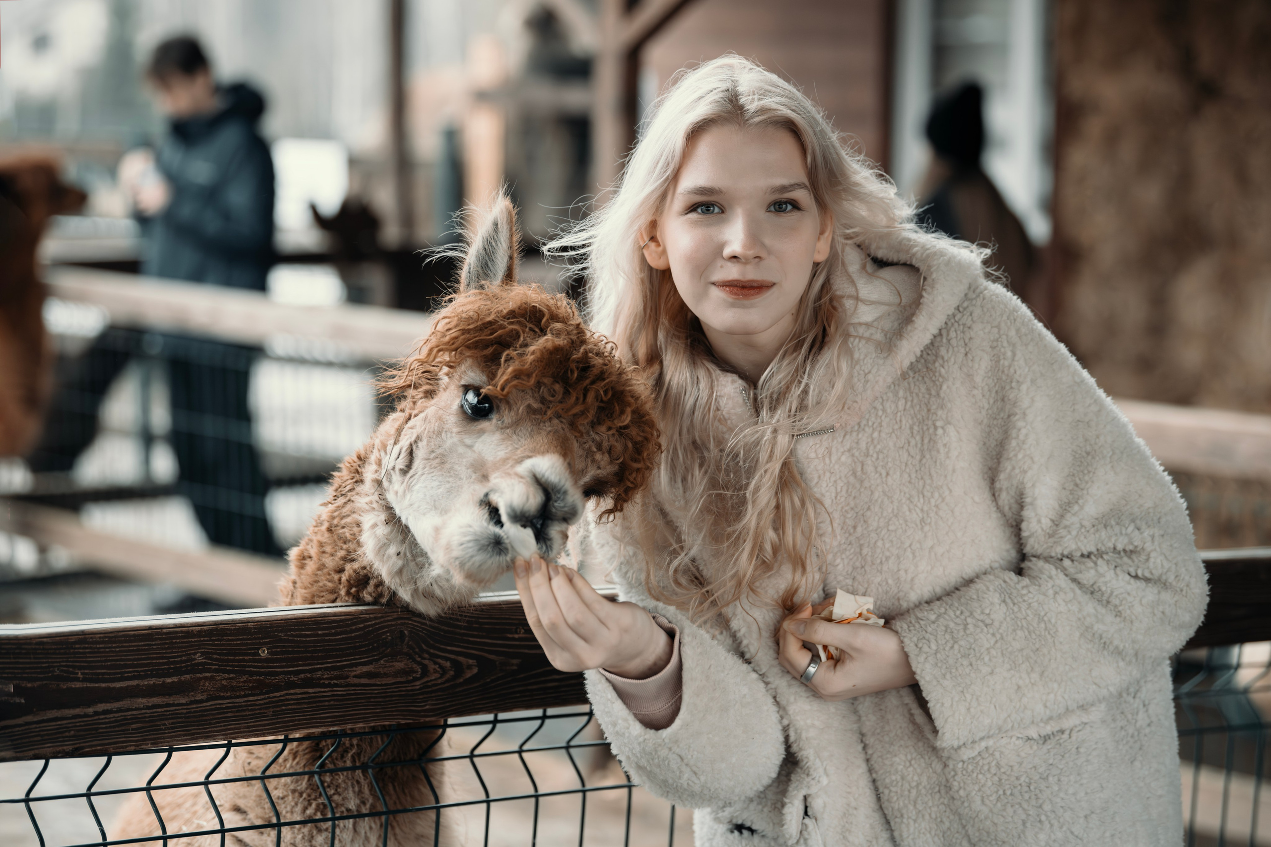 Альпаки. Свадебный и семейный фотограф в Москве Елена Новикова