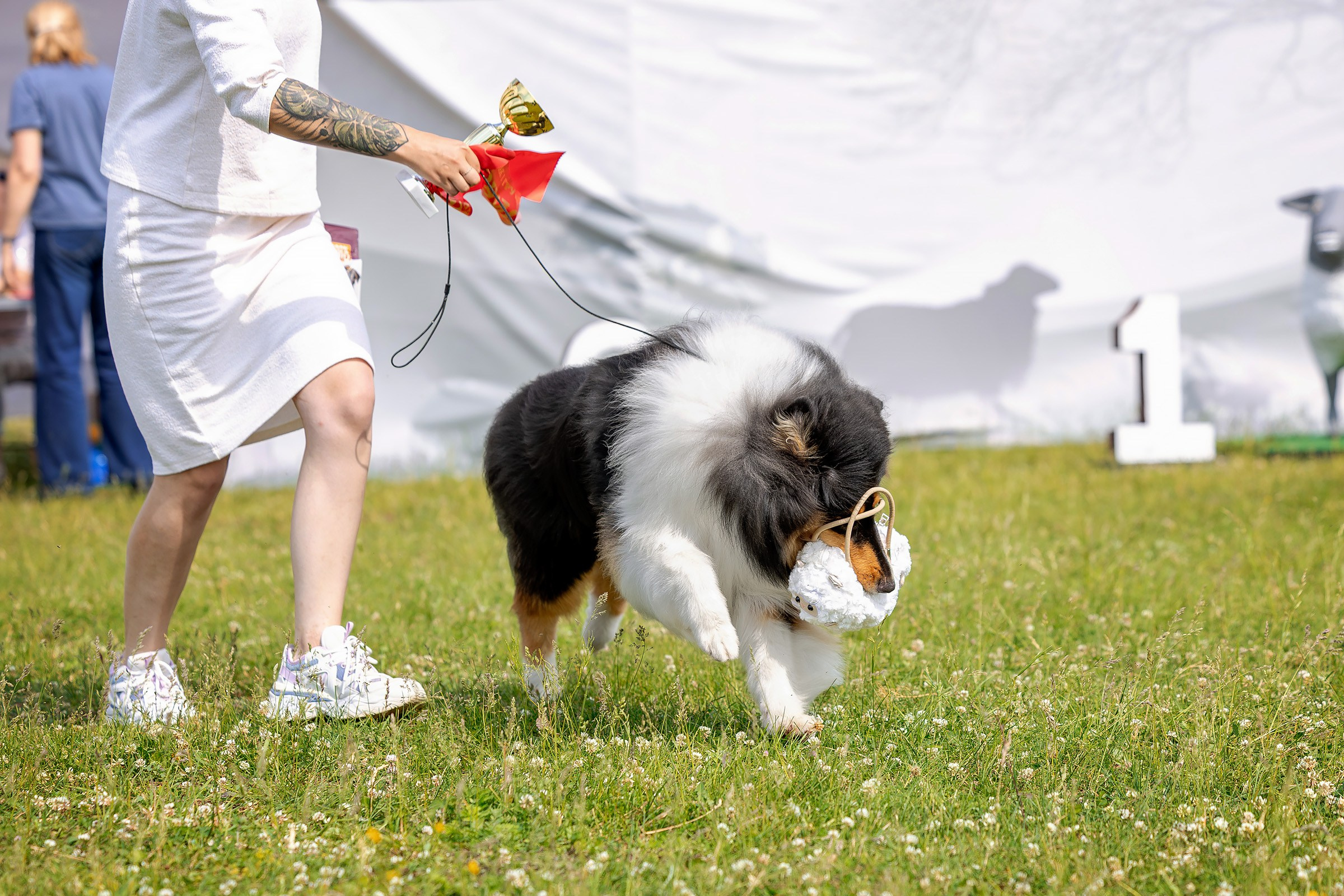 12 июня 2025, Выставка РКФ, Пермский край. Htykk_photo