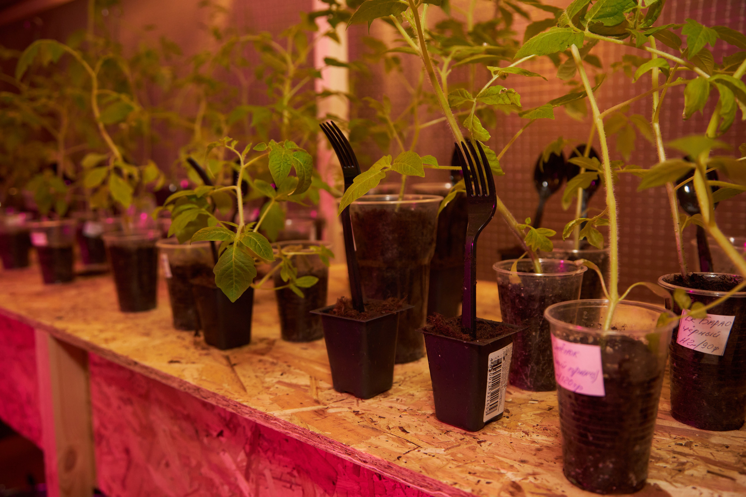 Выставка Cubo Libre. Фотограф Савченко Люба. Москва